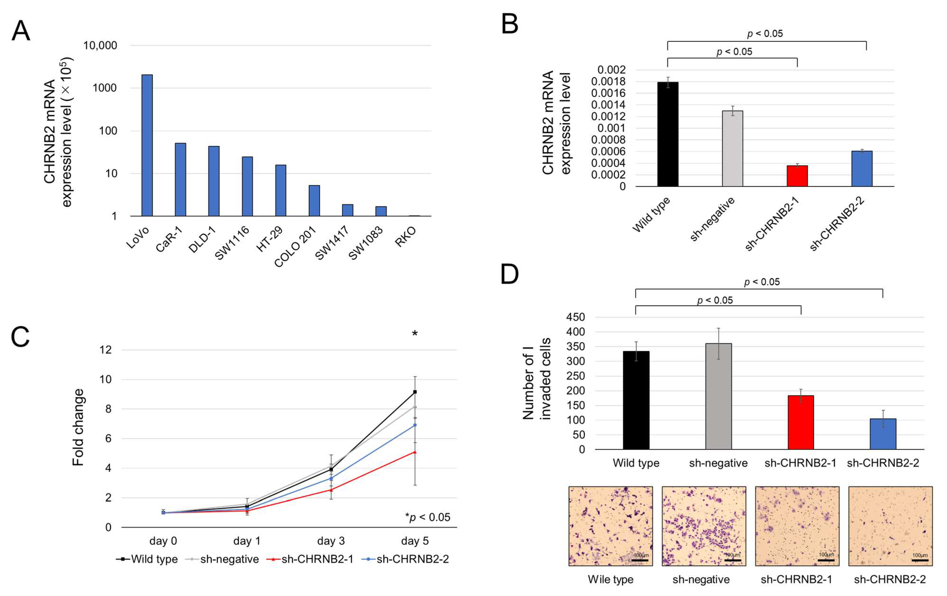 Cancers 17 02485 g001
