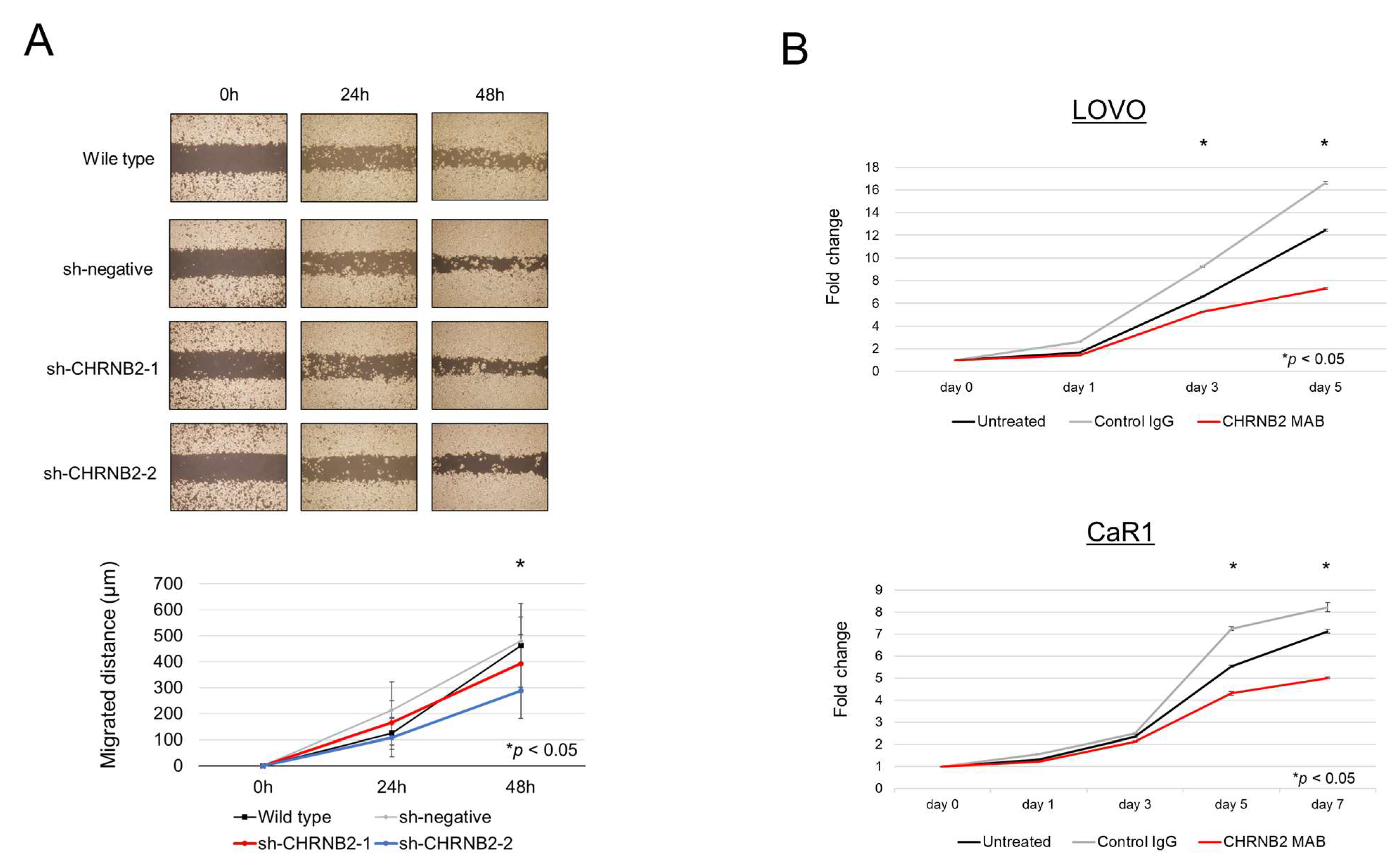Cancers 17 02485 g002