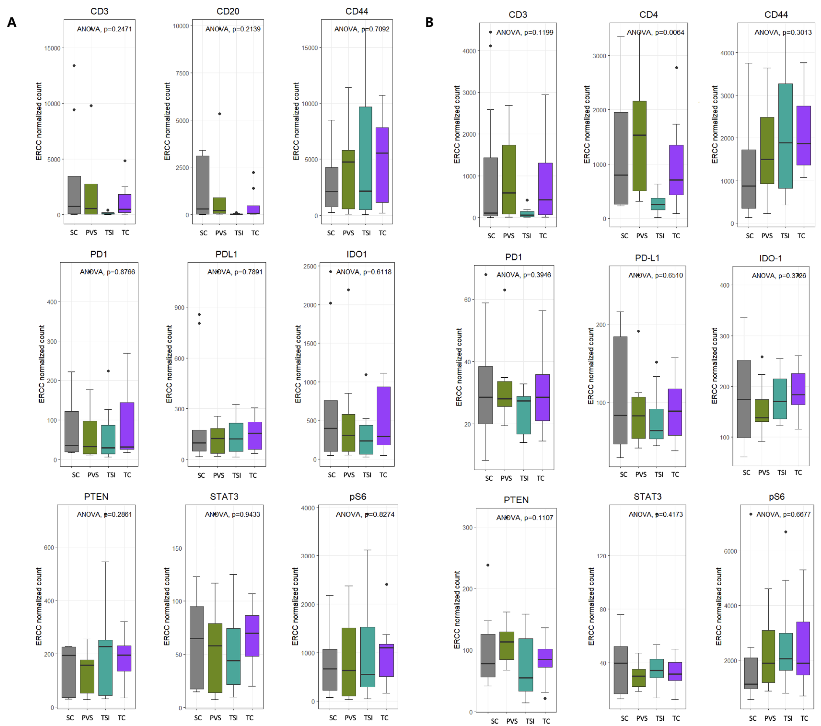 Cancers 17 02529 g004