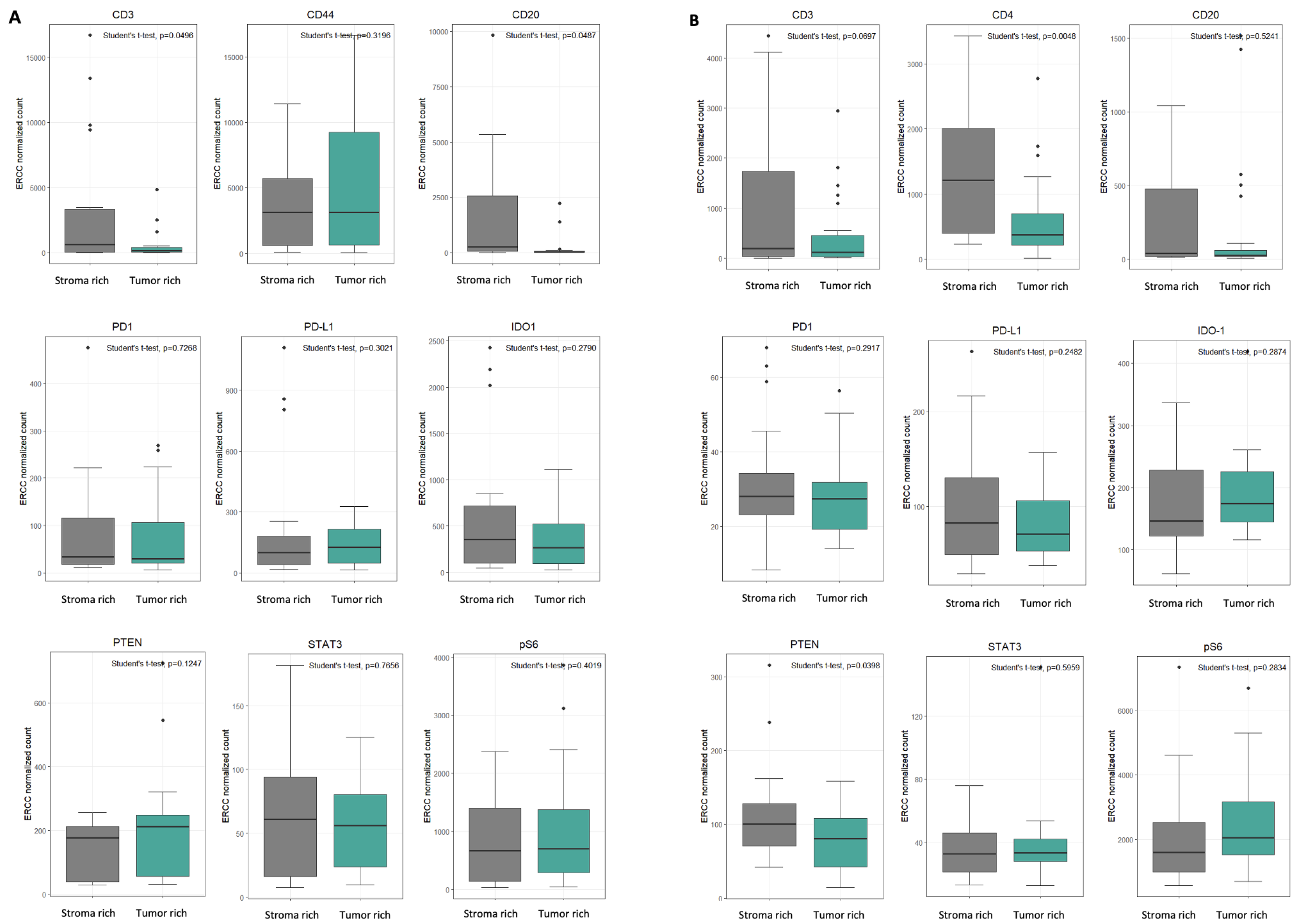 Cancers 17 02529 g005