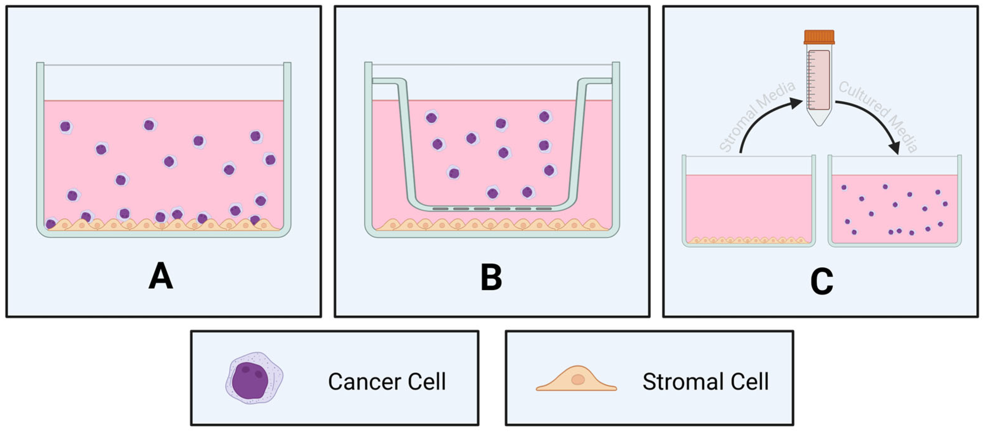 Cancers 17 02571 g003