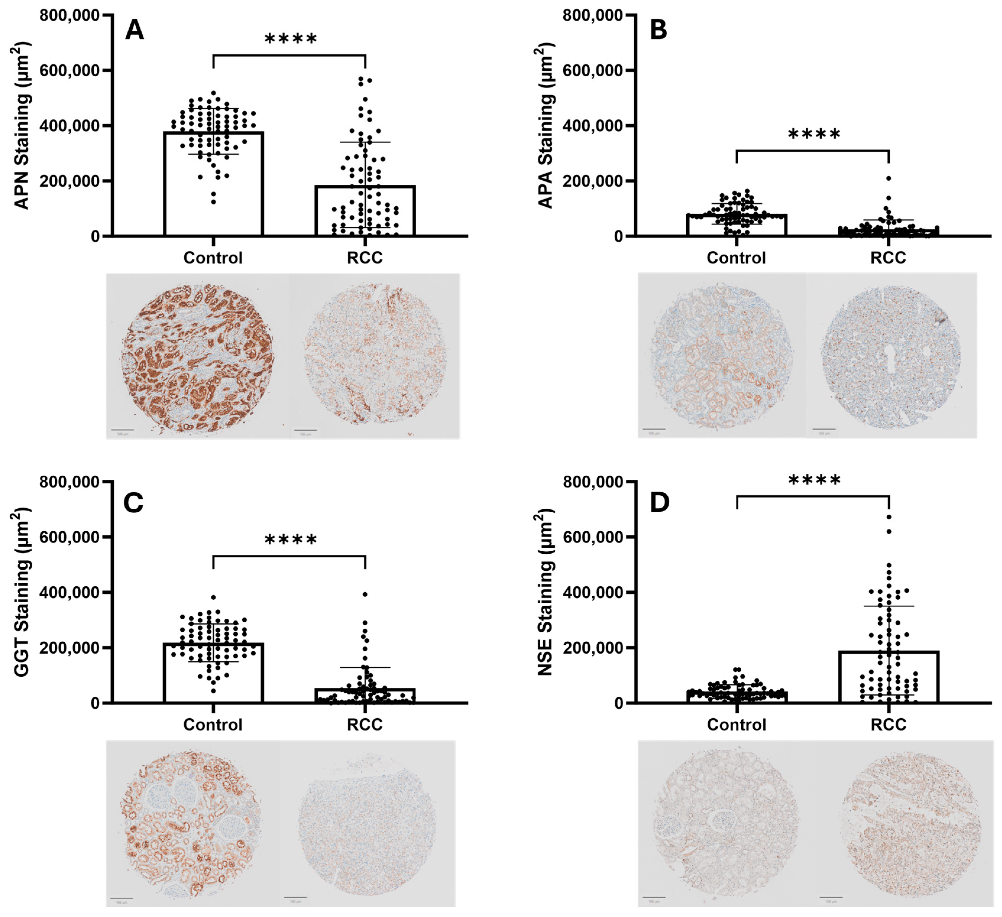 Cancers 17 02588 g001 Cancers 17 02588 g001
