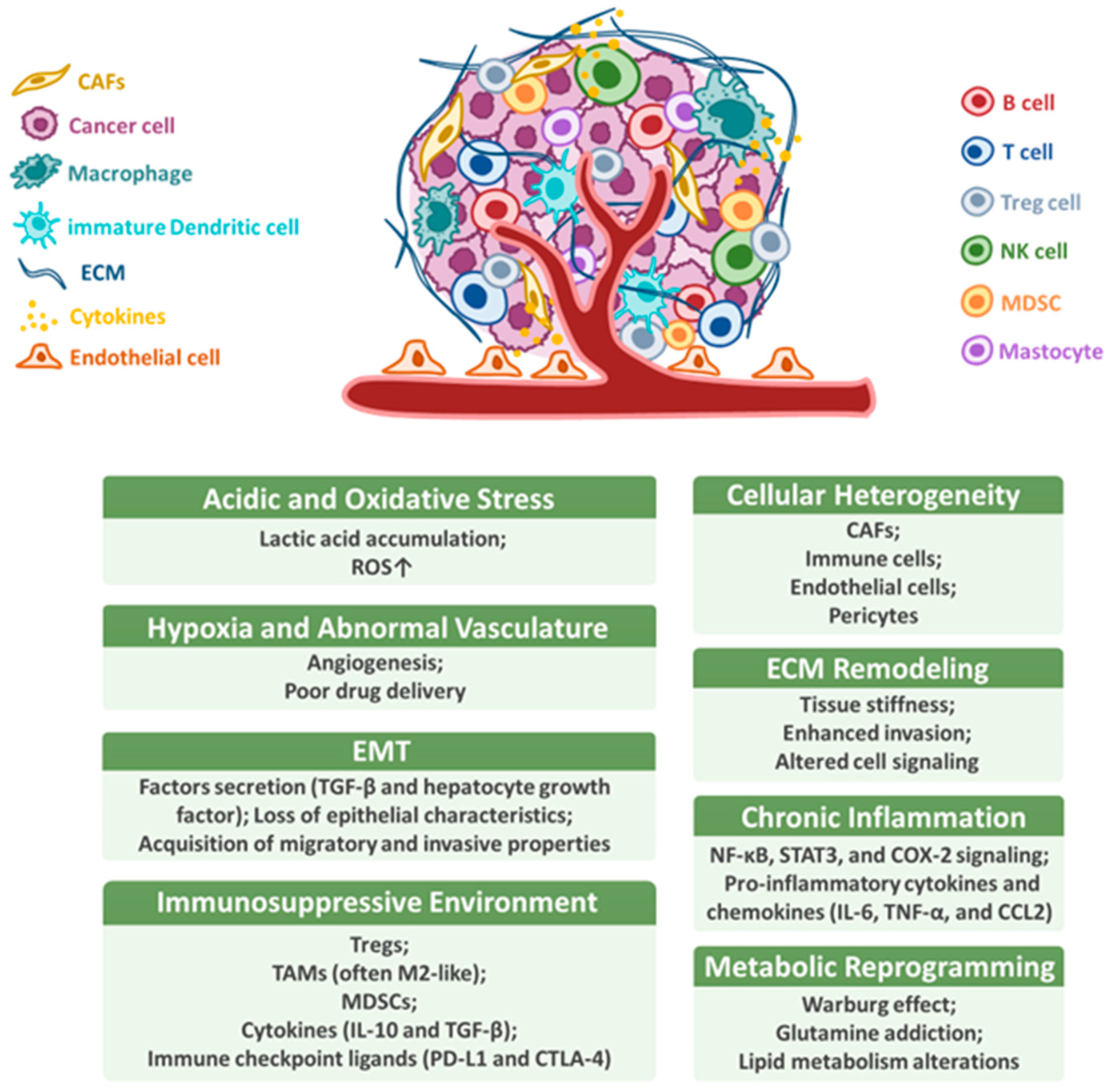 Cancers 17 02590 g001 Cancers 17 02590 g001