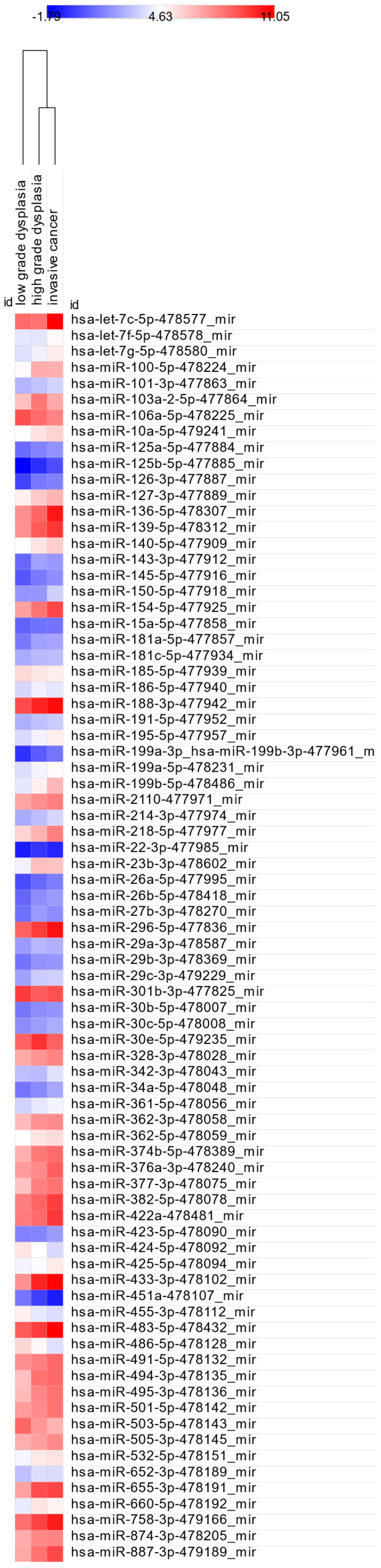 Cancers 17 02883 g005 Cancers 17 02883 g005