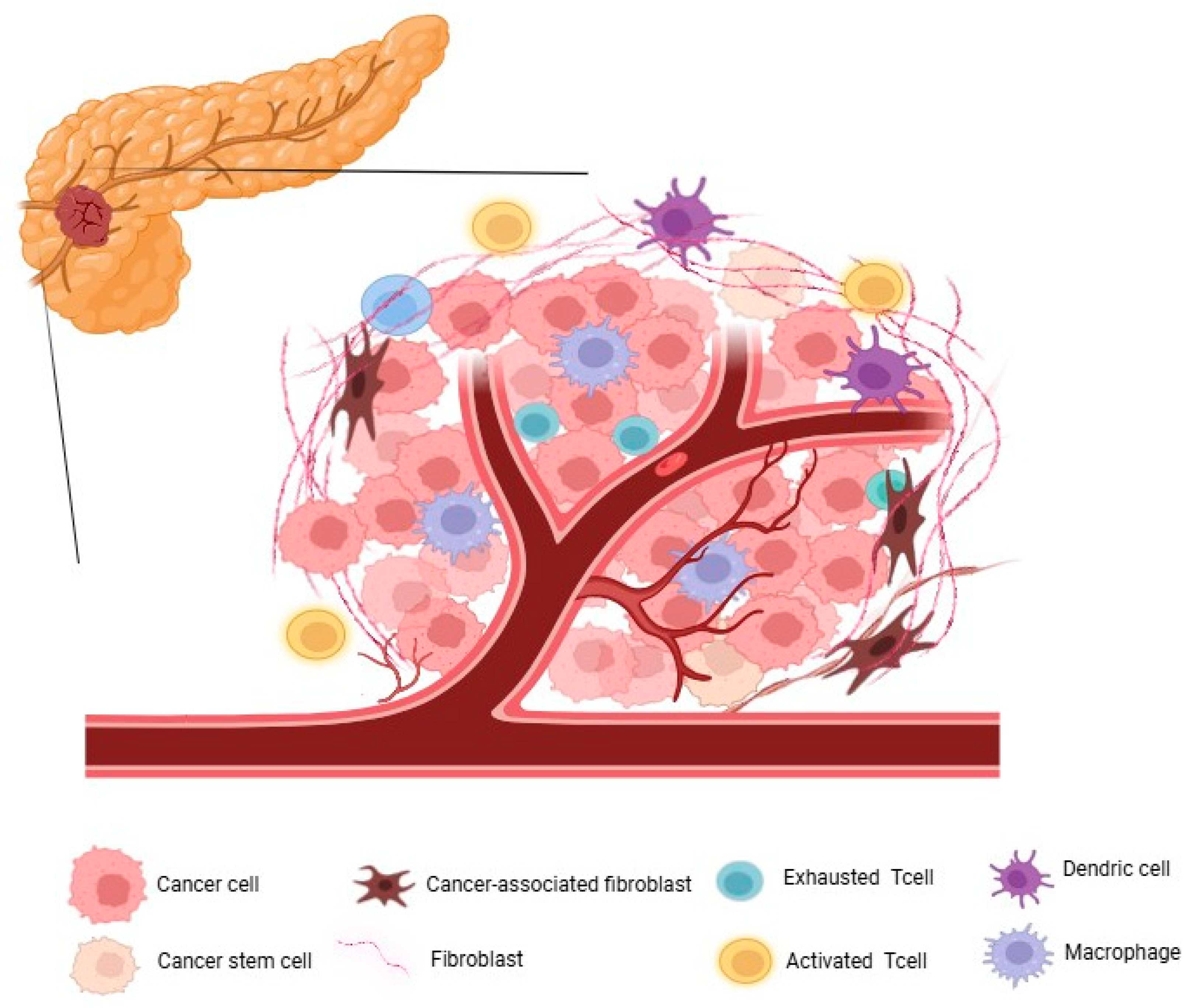 Cancers 17 03090 g001 Cancers 17 03090 g001