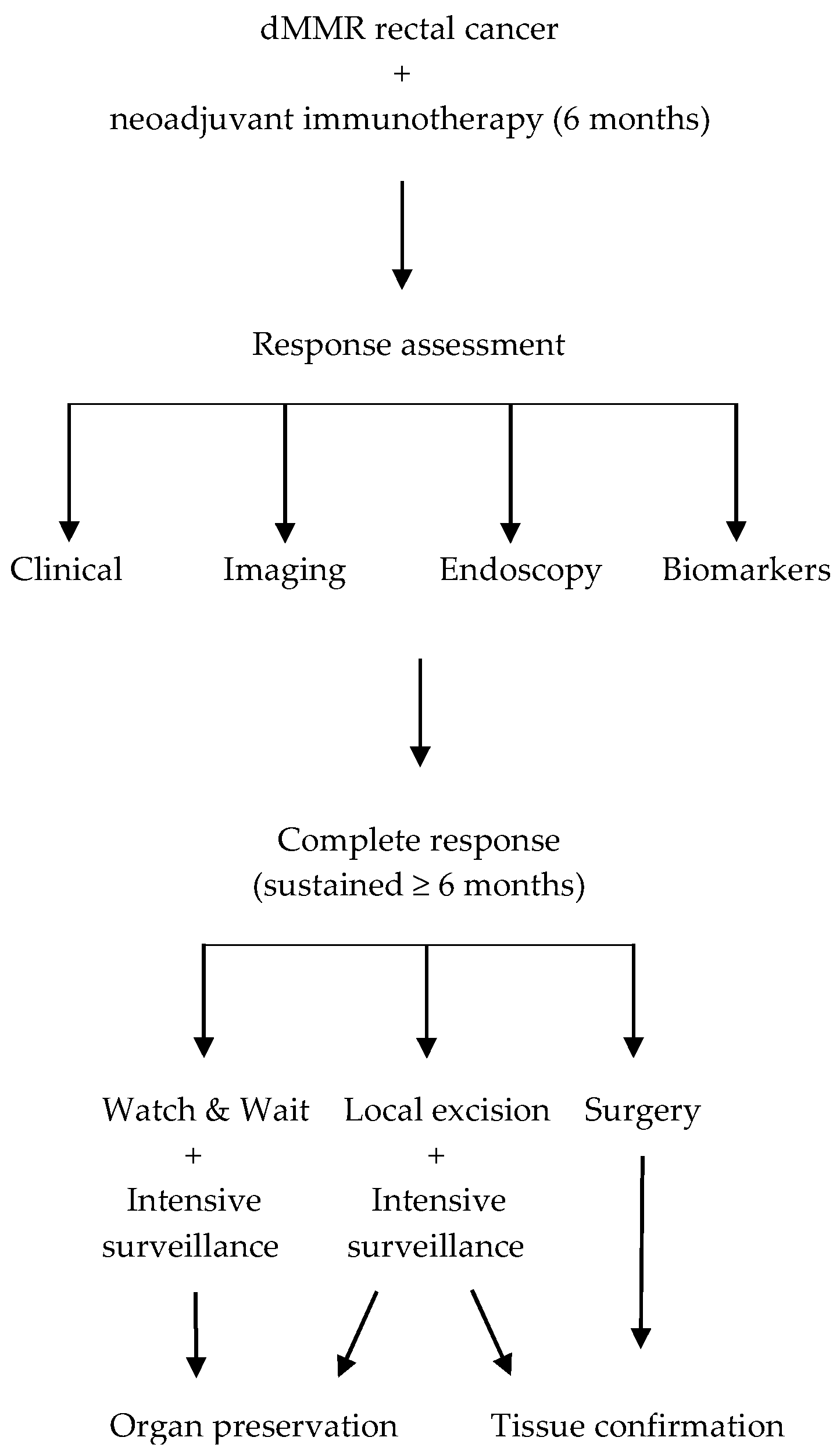 Cancers 17 03153 g001 Cancers 17 03153 g001
