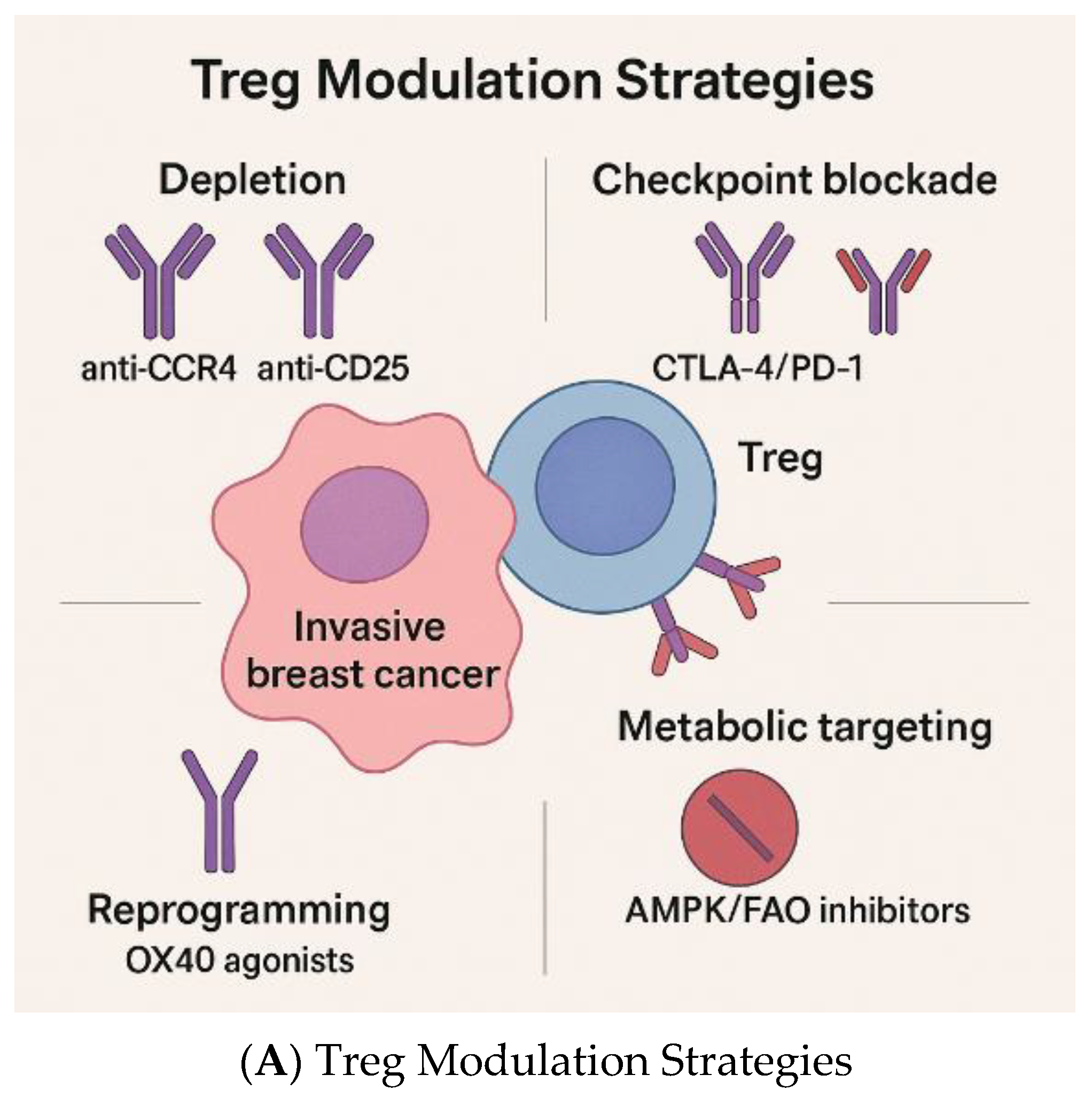 Cancers 17 03172 g003a Cancers 17 03172 g003a