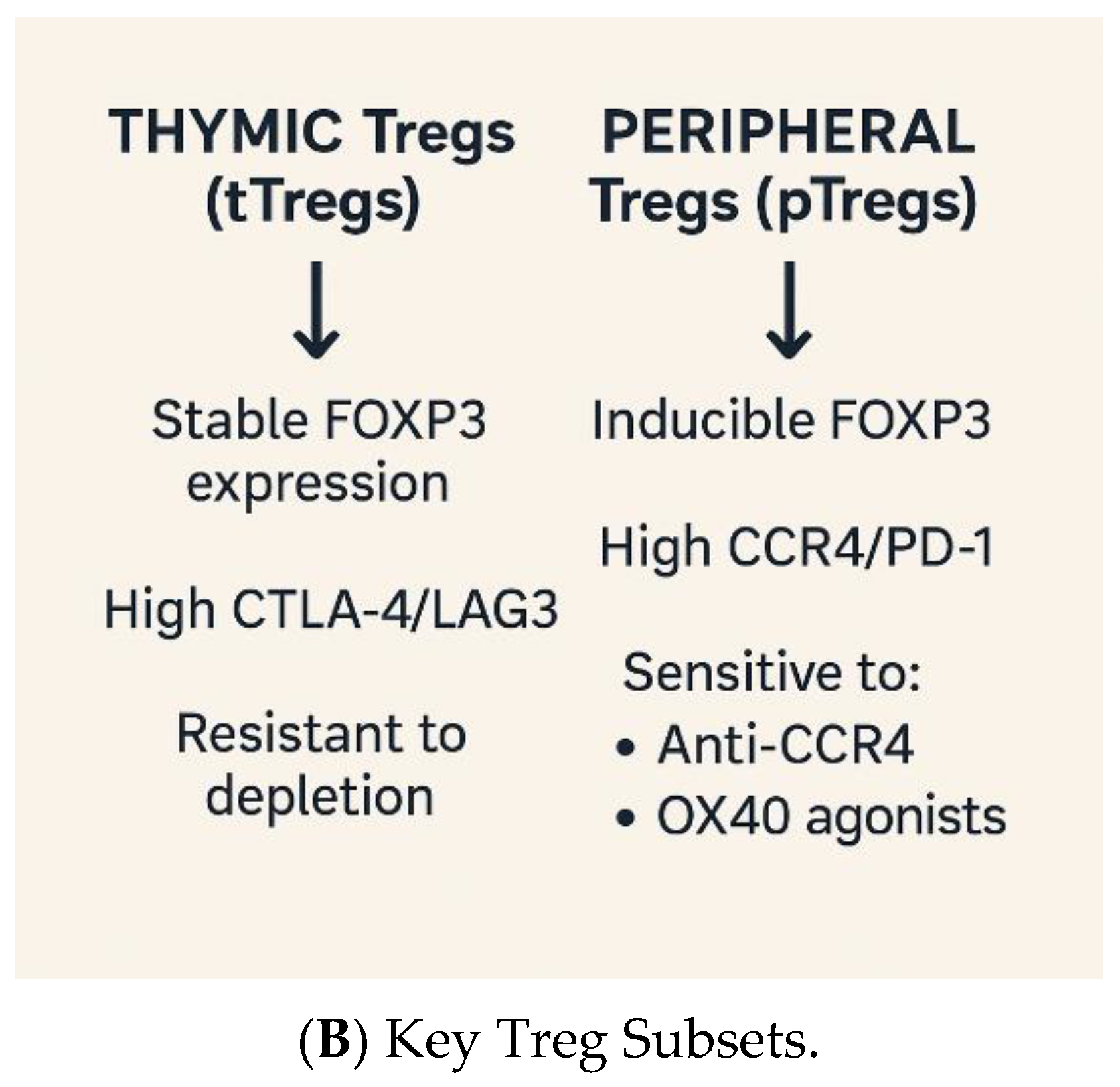 Cancers 17 03172 g003b Cancers 17 03172 g003b