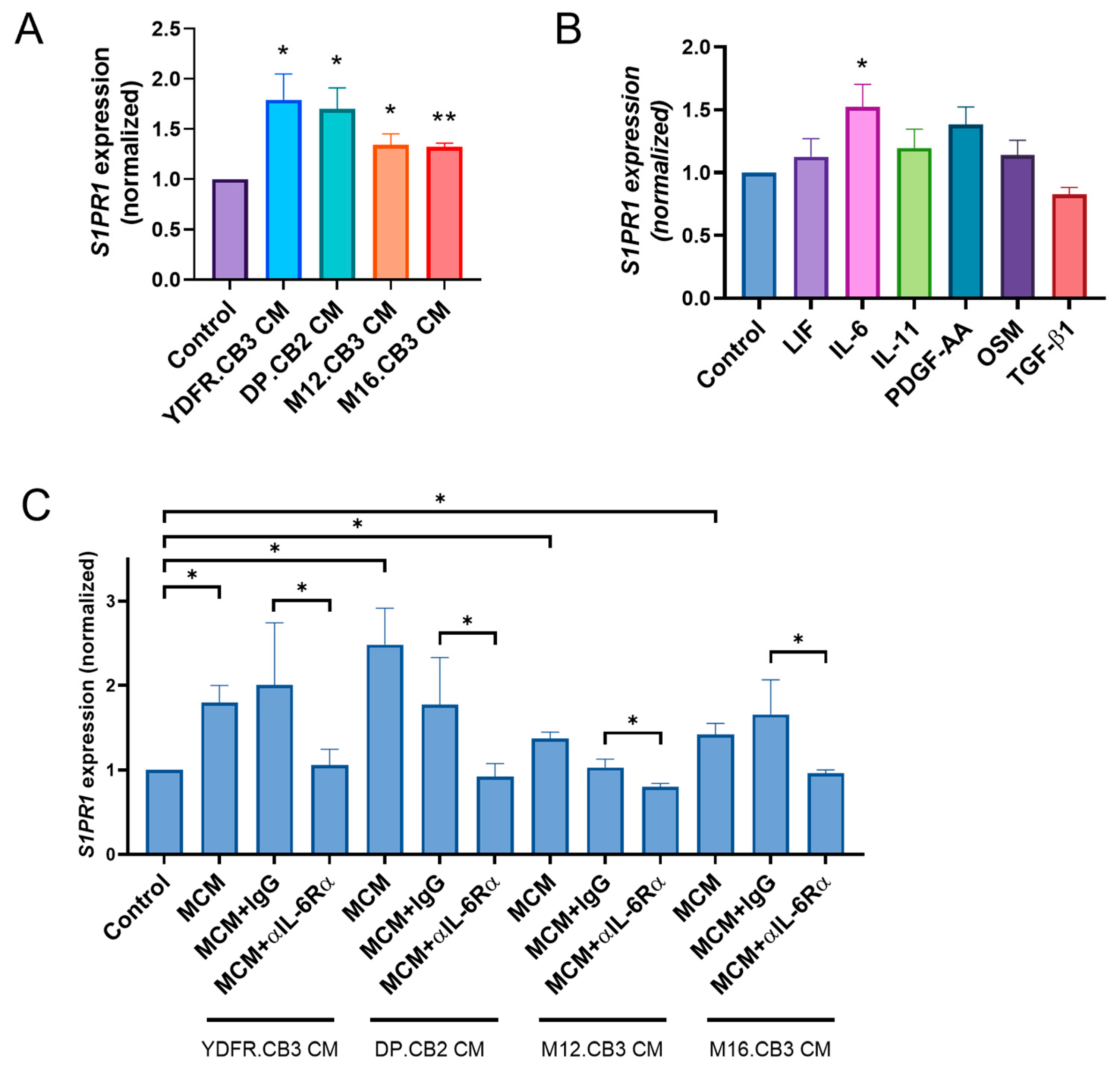 Cancers 17 03175 g001 Cancers 17 03175 g001