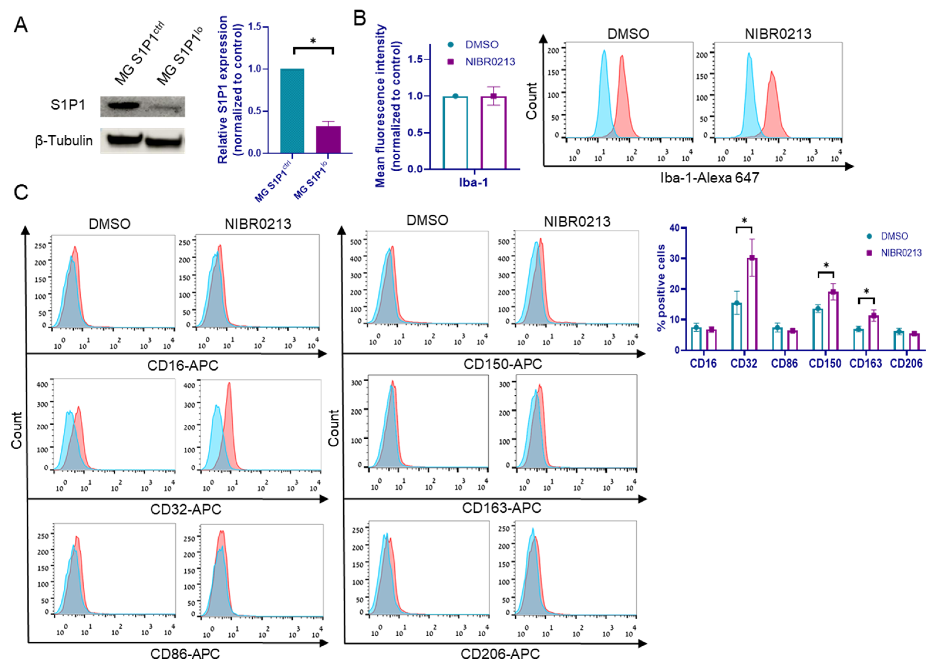Cancers 17 03175 g002a Cancers 17 03175 g002a