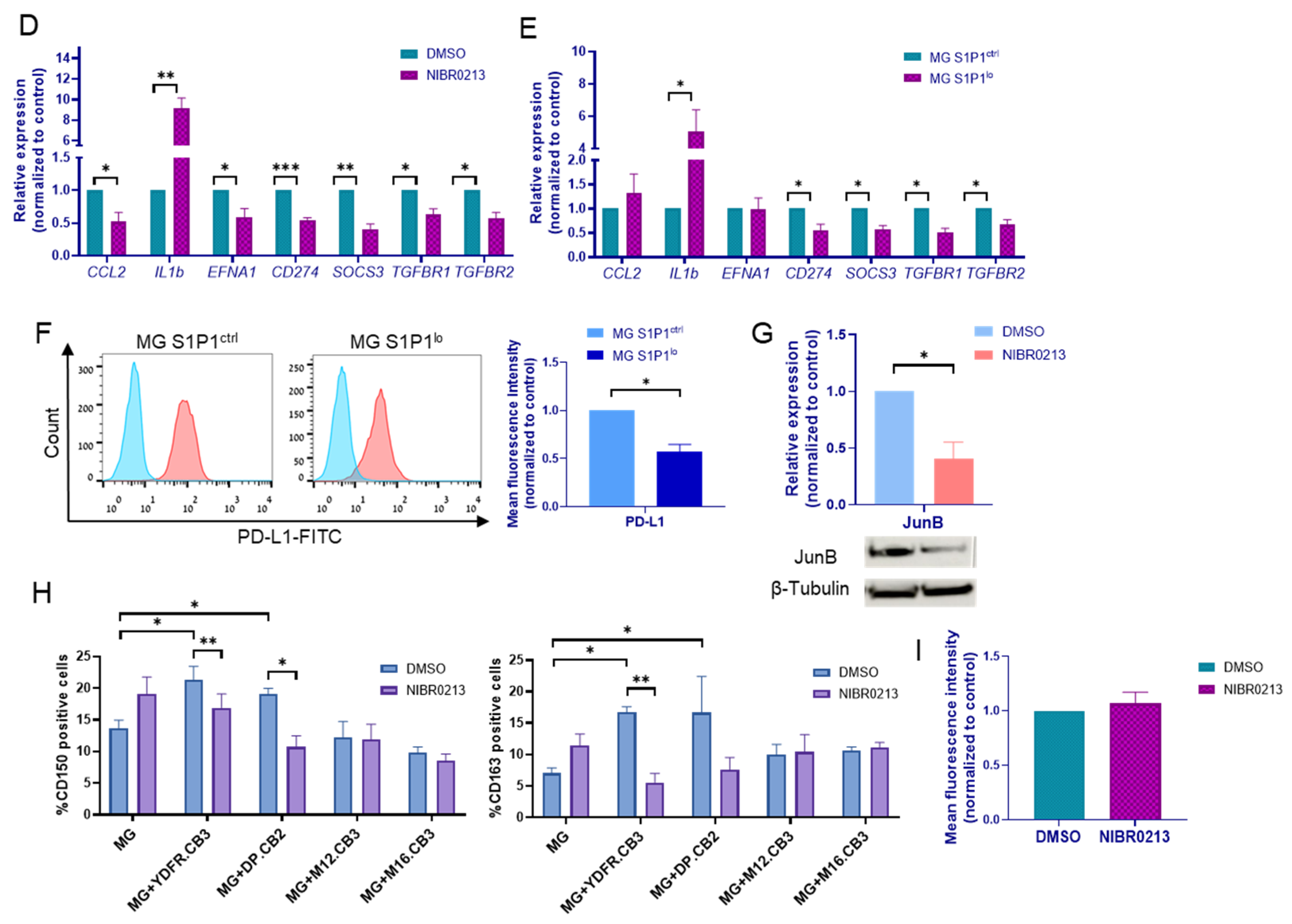 Cancers 17 03175 g002b Cancers 17 03175 g002b