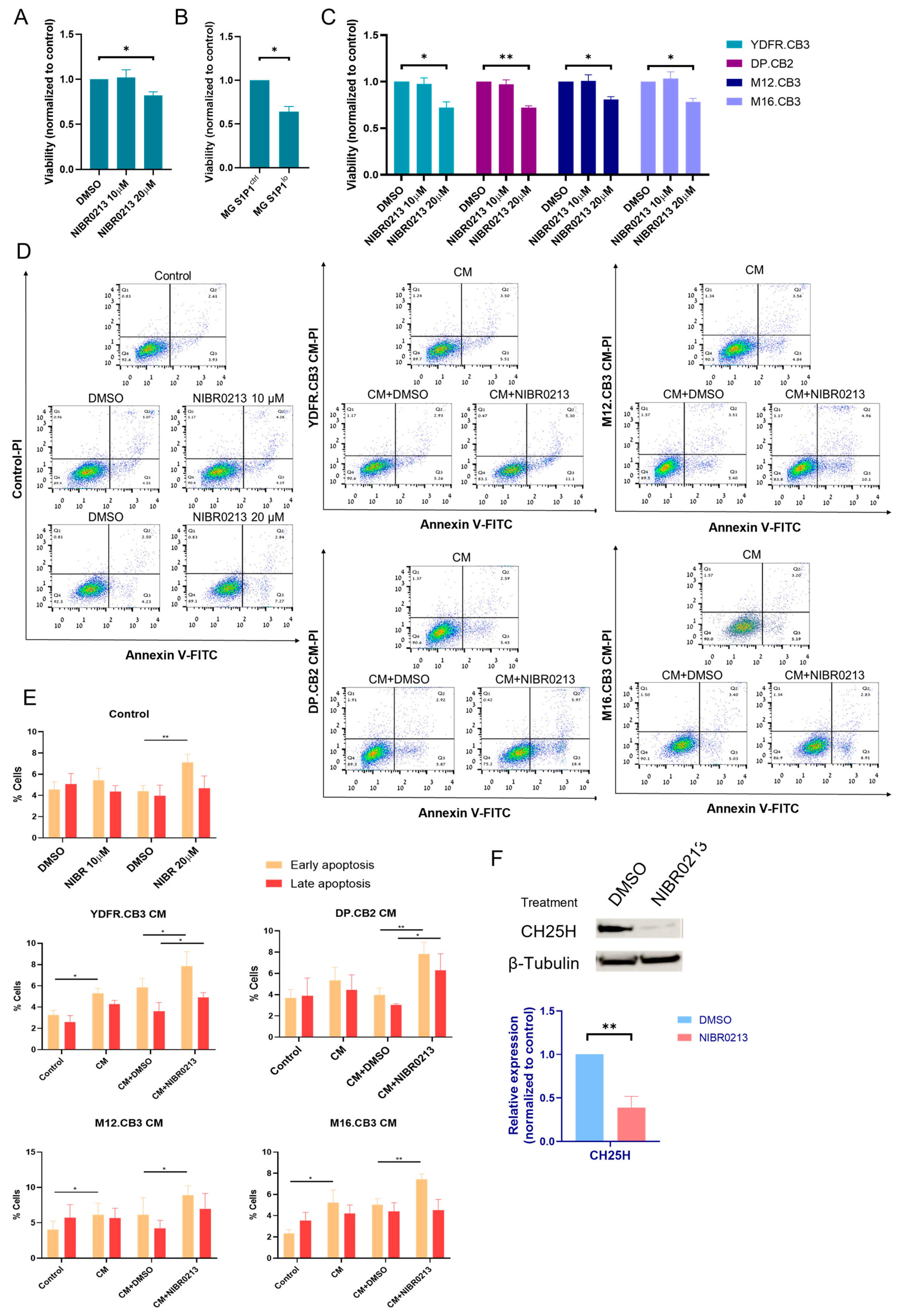 Cancers 17 03175 g003 Cancers 17 03175 g003