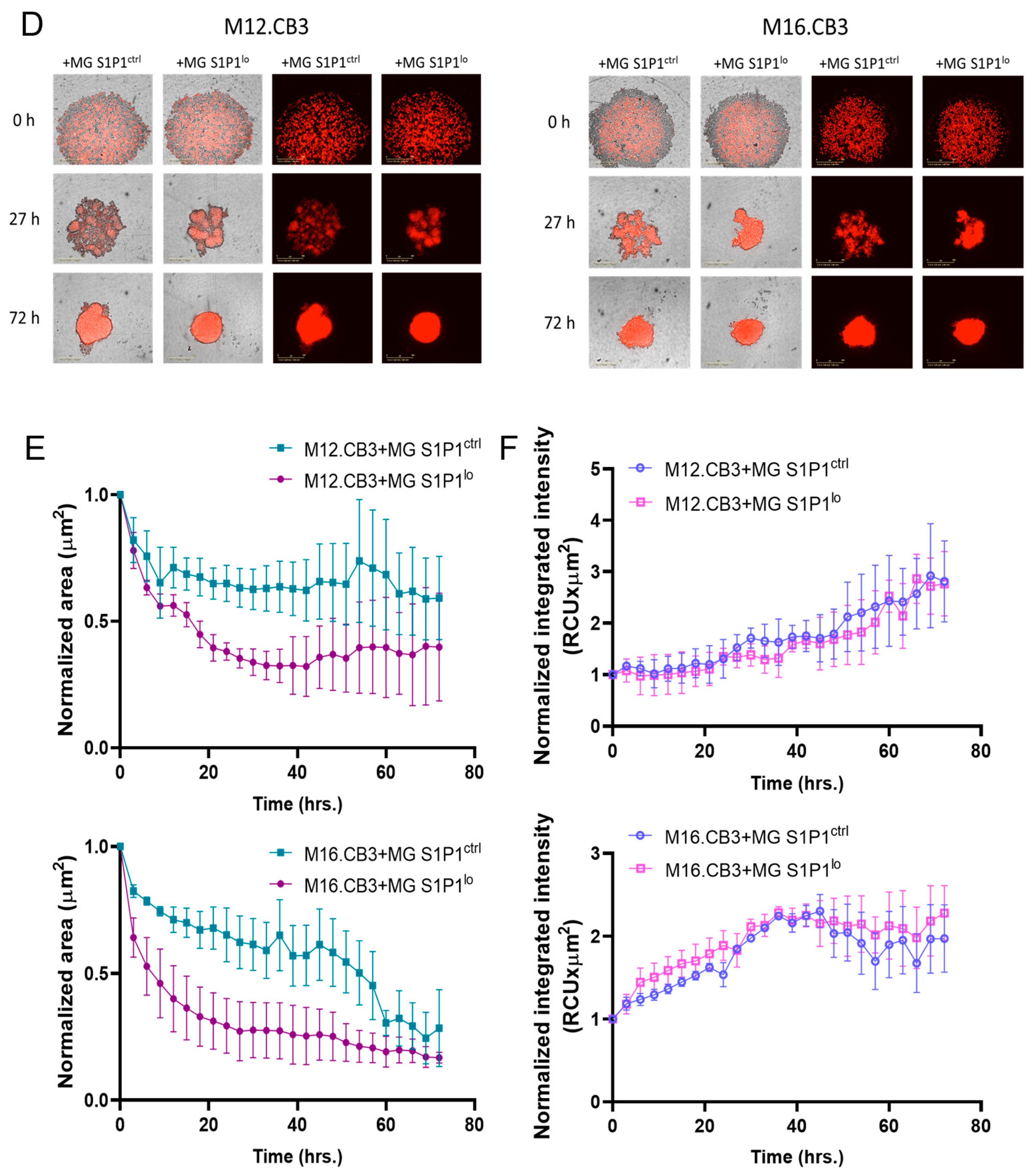Cancers 17 03175 g005b Cancers 17 03175 g005b