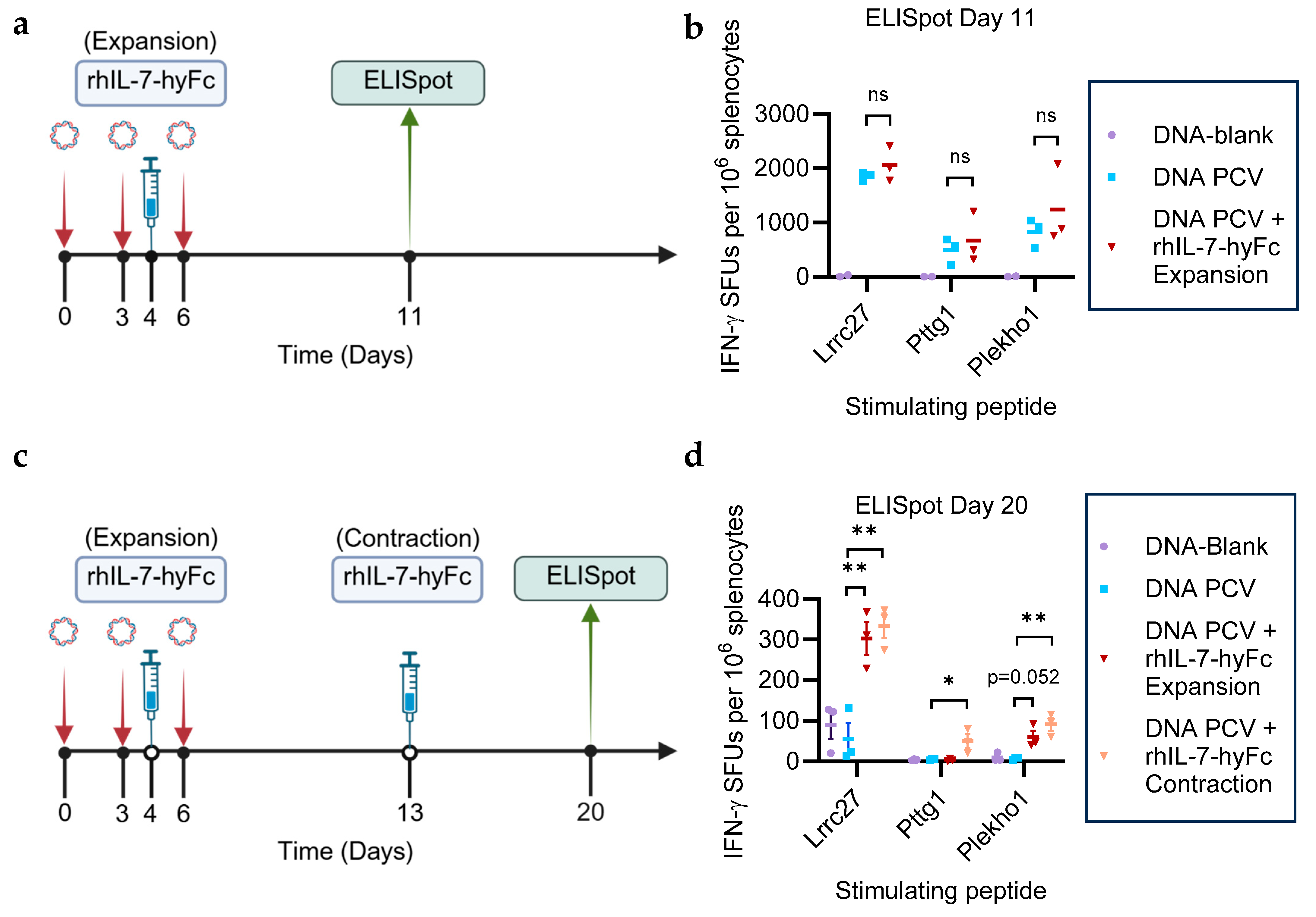 Cancers 17 03177 g001 Cancers 17 03177 g001