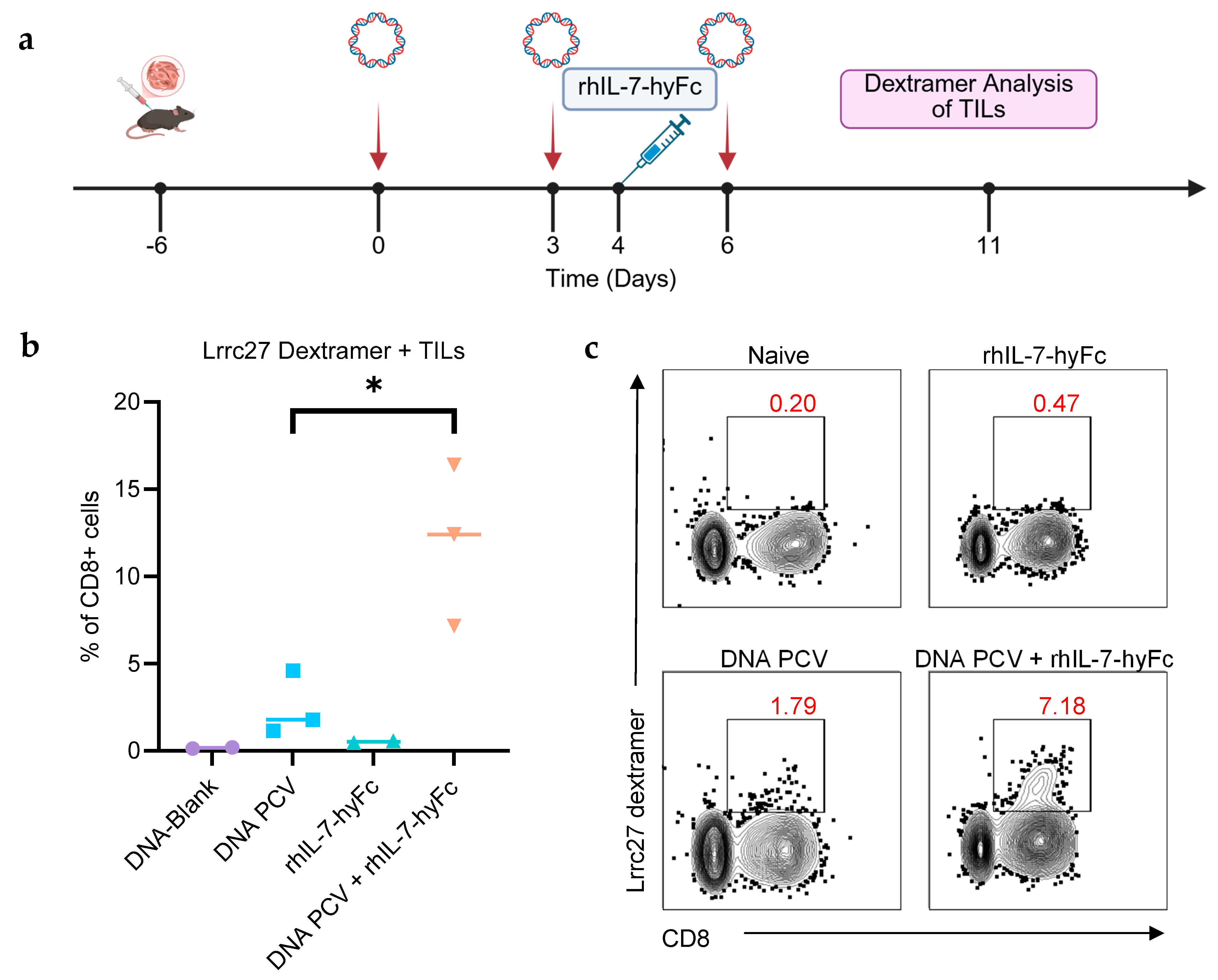 Cancers 17 03177 g004 Cancers 17 03177 g004