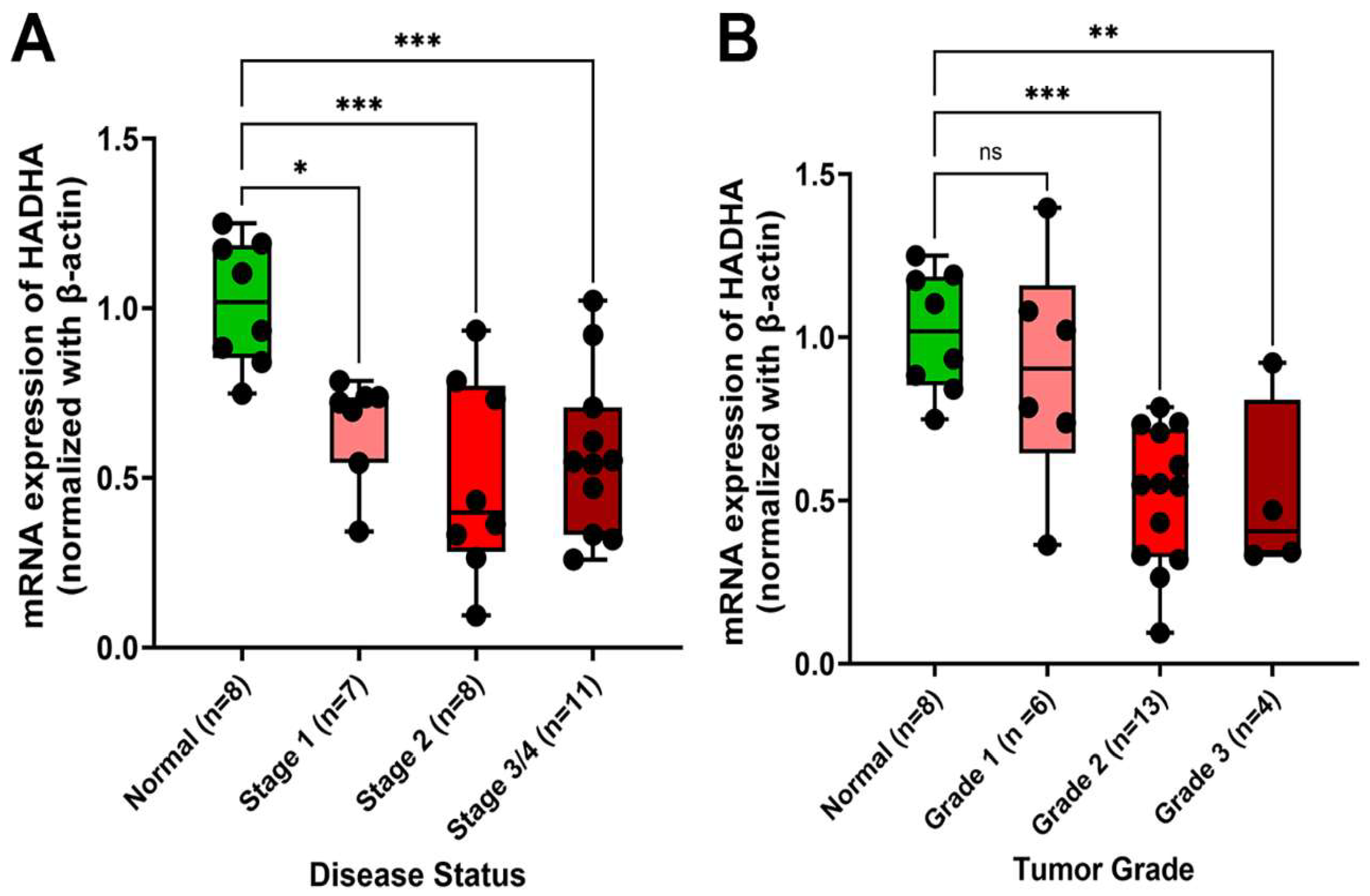 Cancers 17 03241 g001 Cancers 17 03241 g001