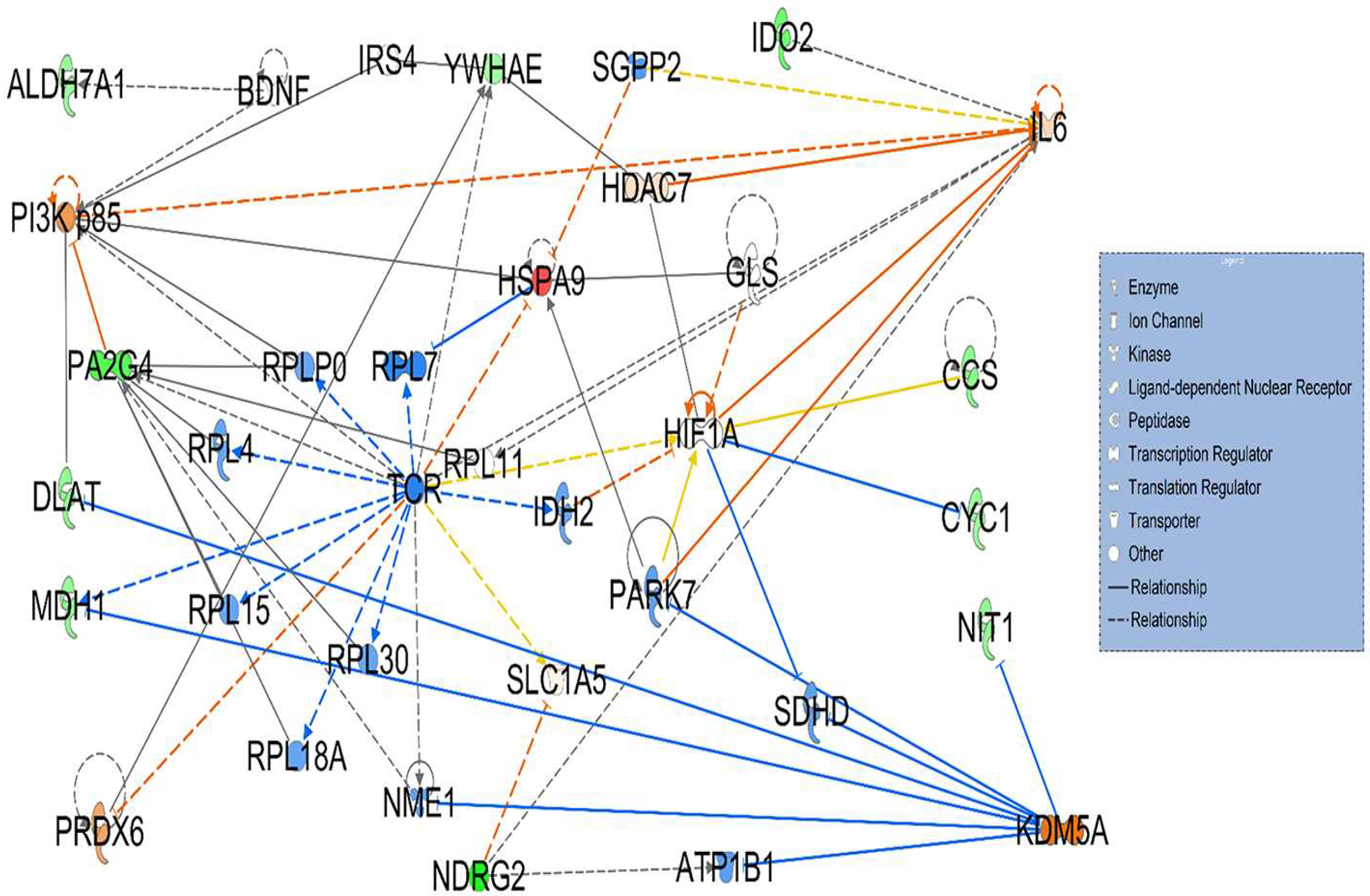 Cancers 17 03241 g002 Cancers 17 03241 g002