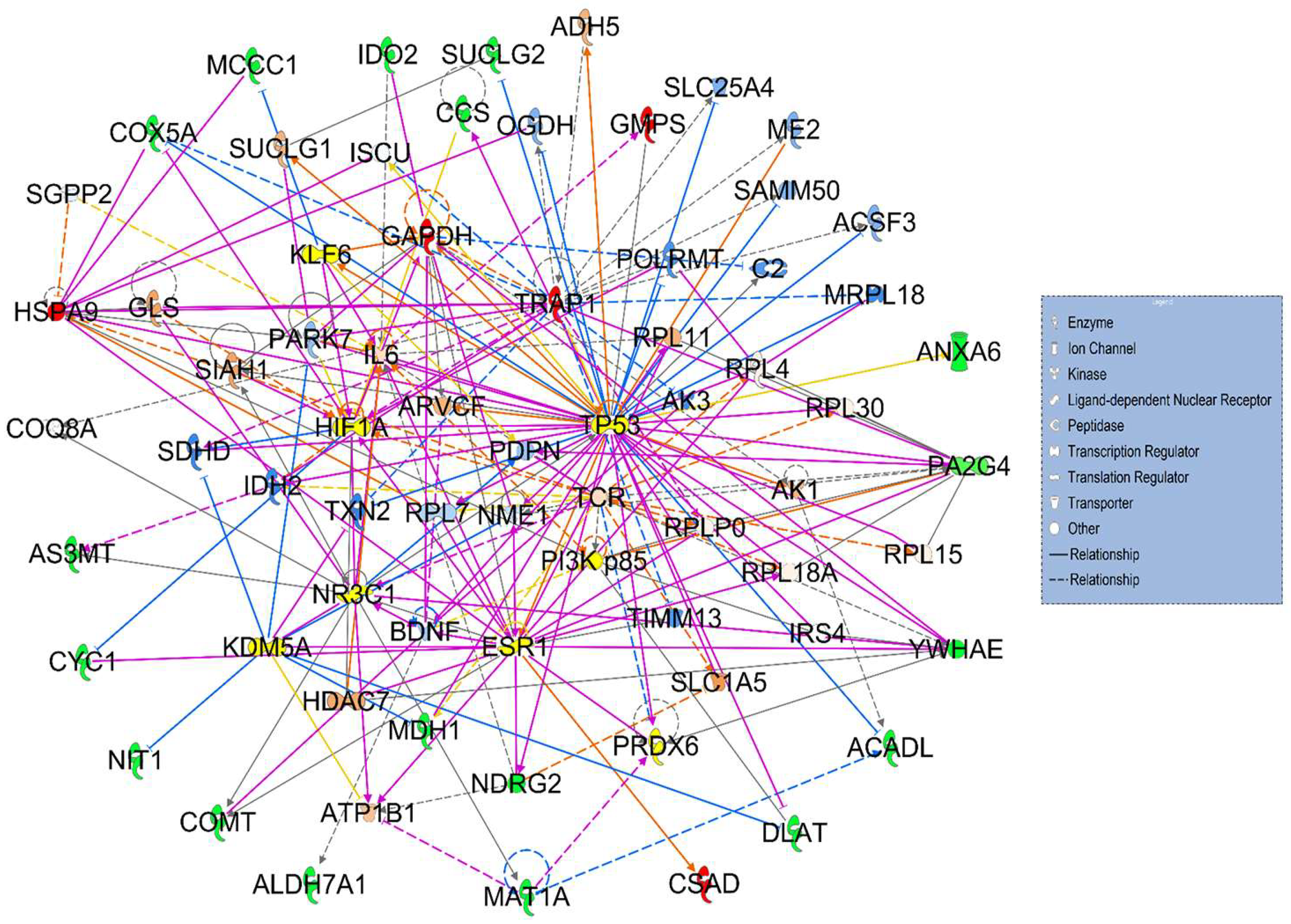 Cancers 17 03241 g004 Cancers 17 03241 g004