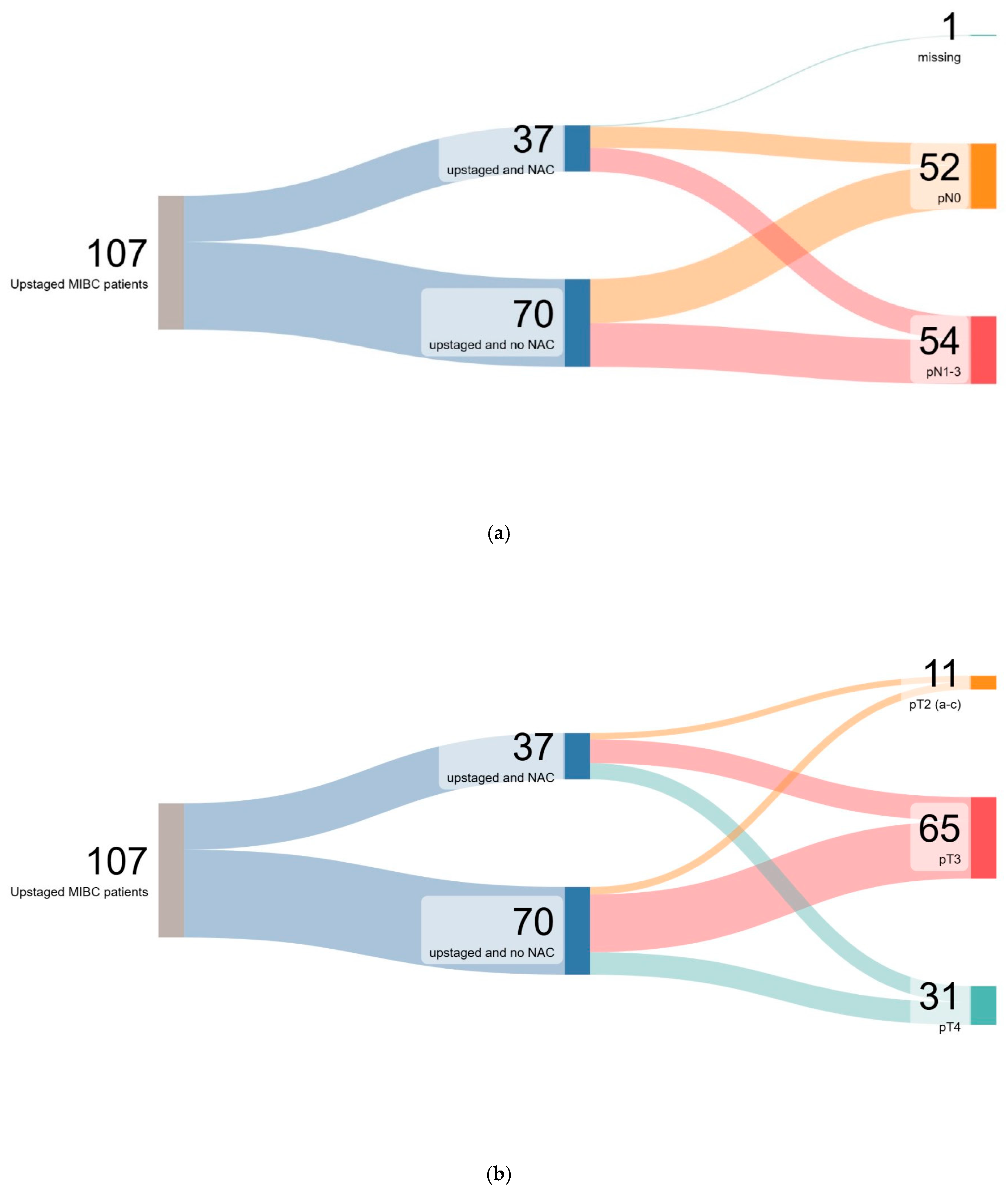 Cancers 17 03265 g001 Cancers 17 03265 g001