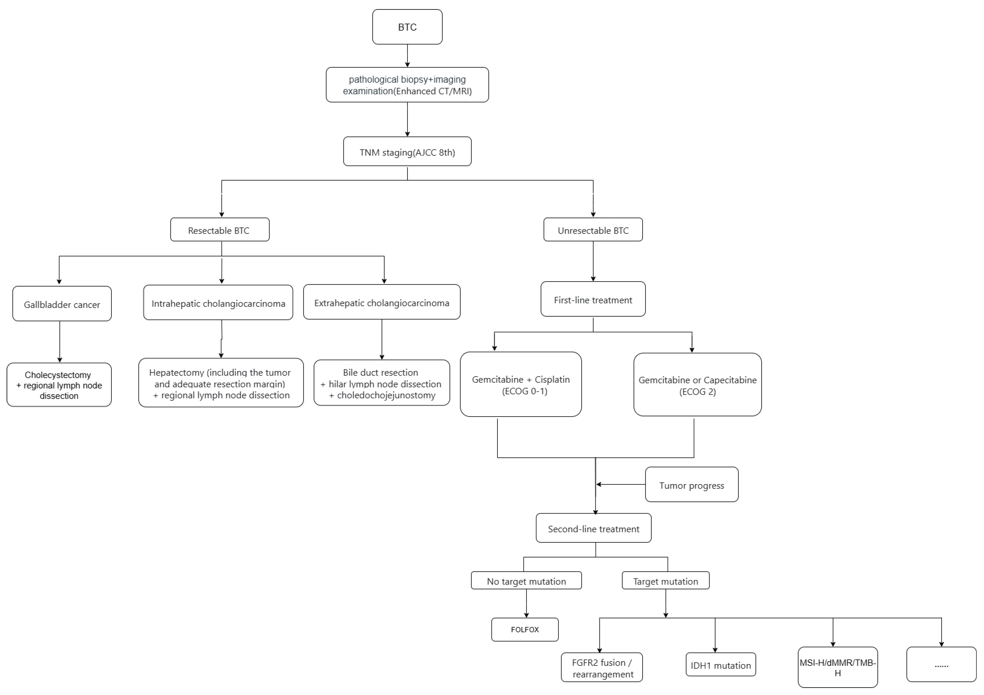 Cancers 17 03268 g001 Cancers 17 03268 g001