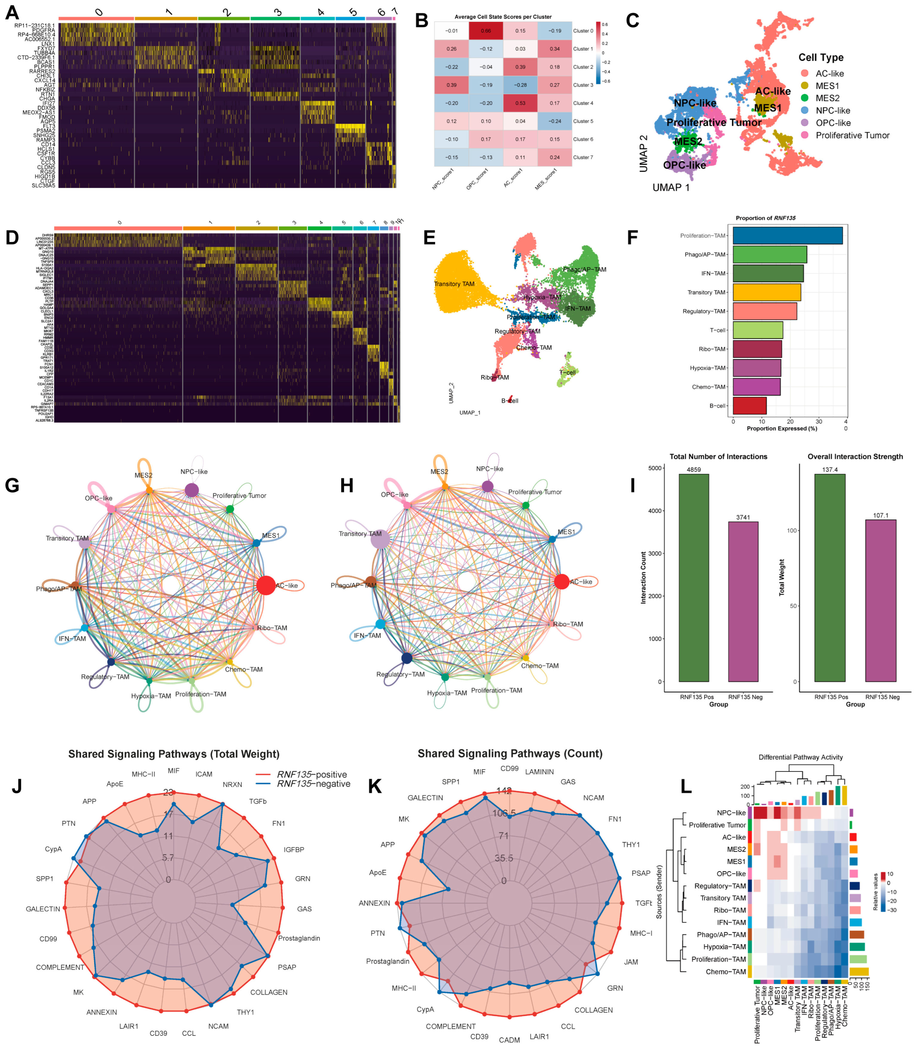 Cancers 17 03271 g003 Cancers 17 03271 g003