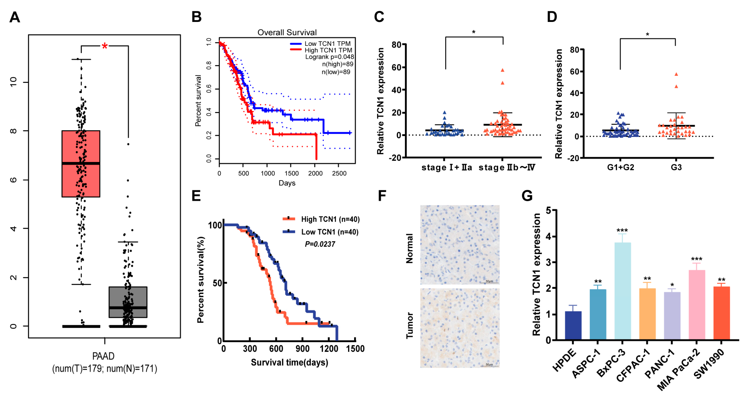 Cancers 17 03300 g001 Cancers 17 03300 g001