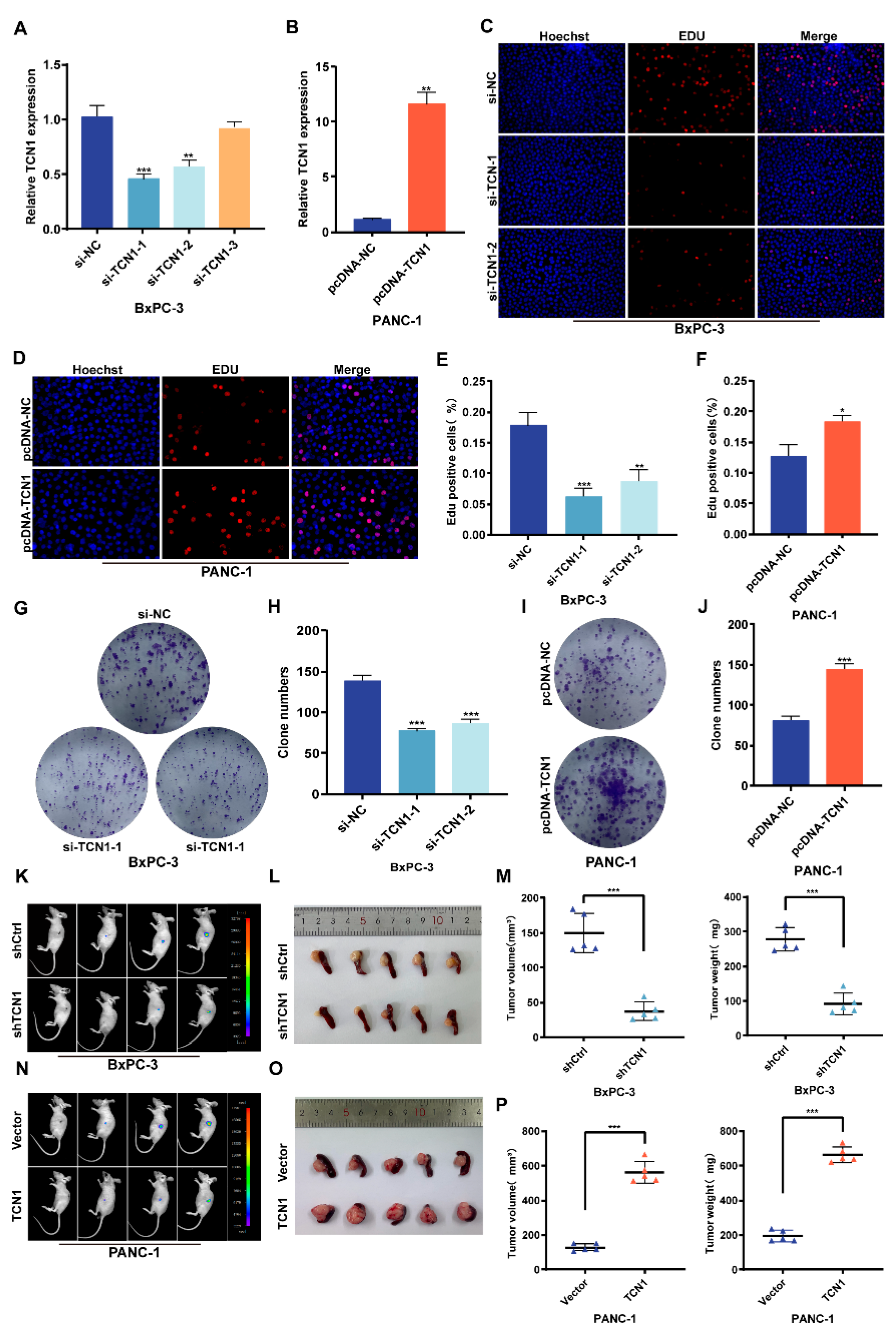 Cancers 17 03300 g002 Cancers 17 03300 g002