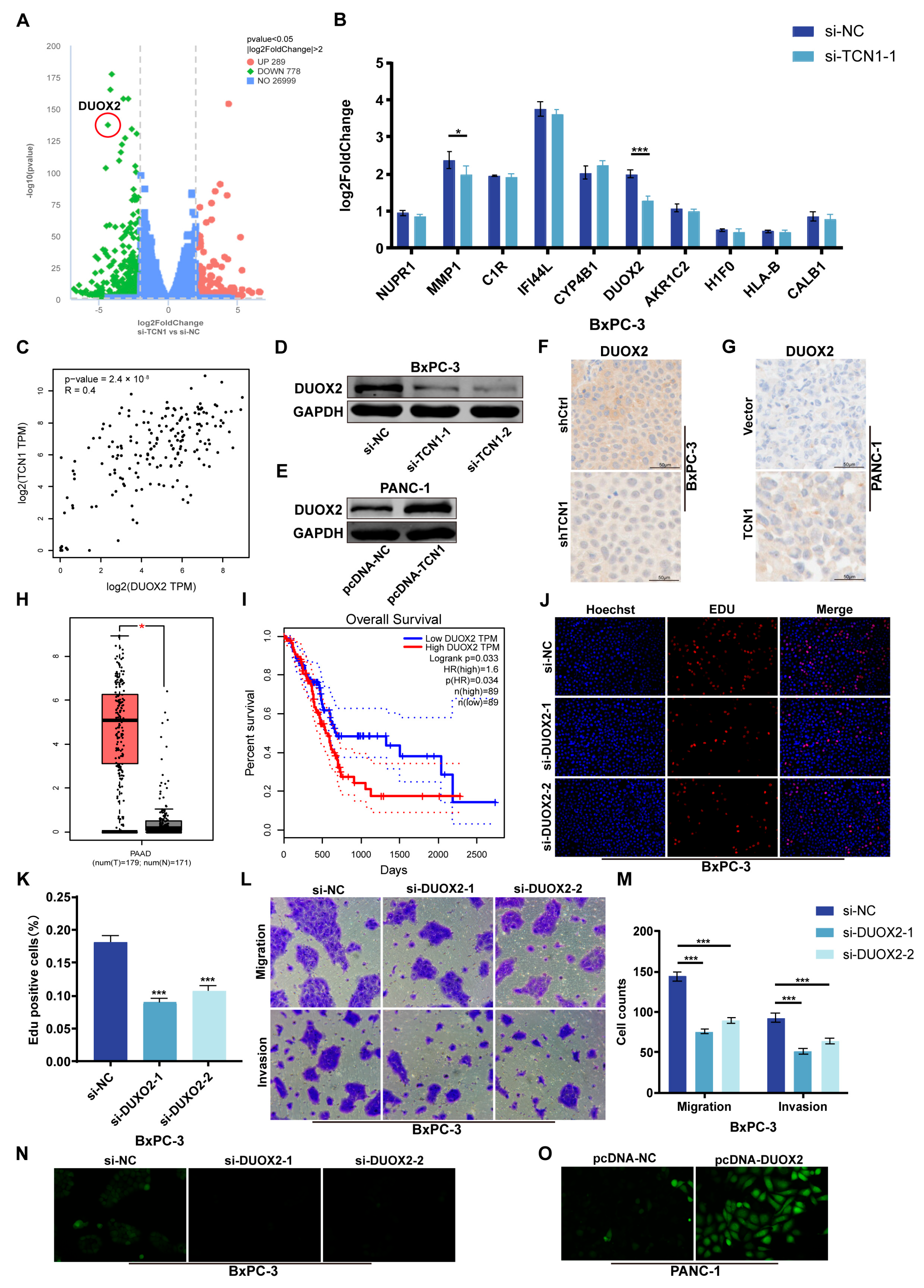 Cancers 17 03300 g004 Cancers 17 03300 g004