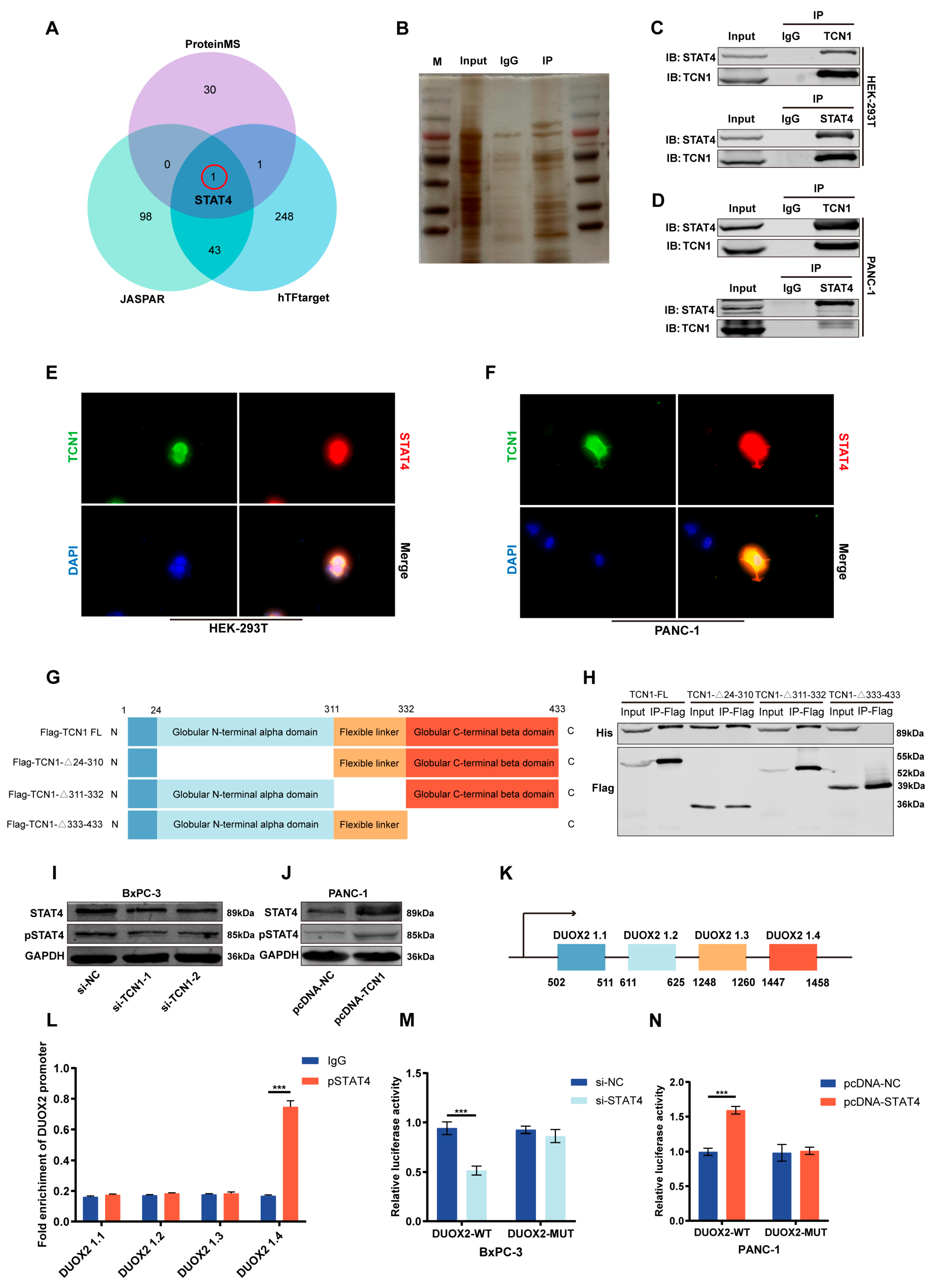 Cancers 17 03300 g006 Cancers 17 03300 g006