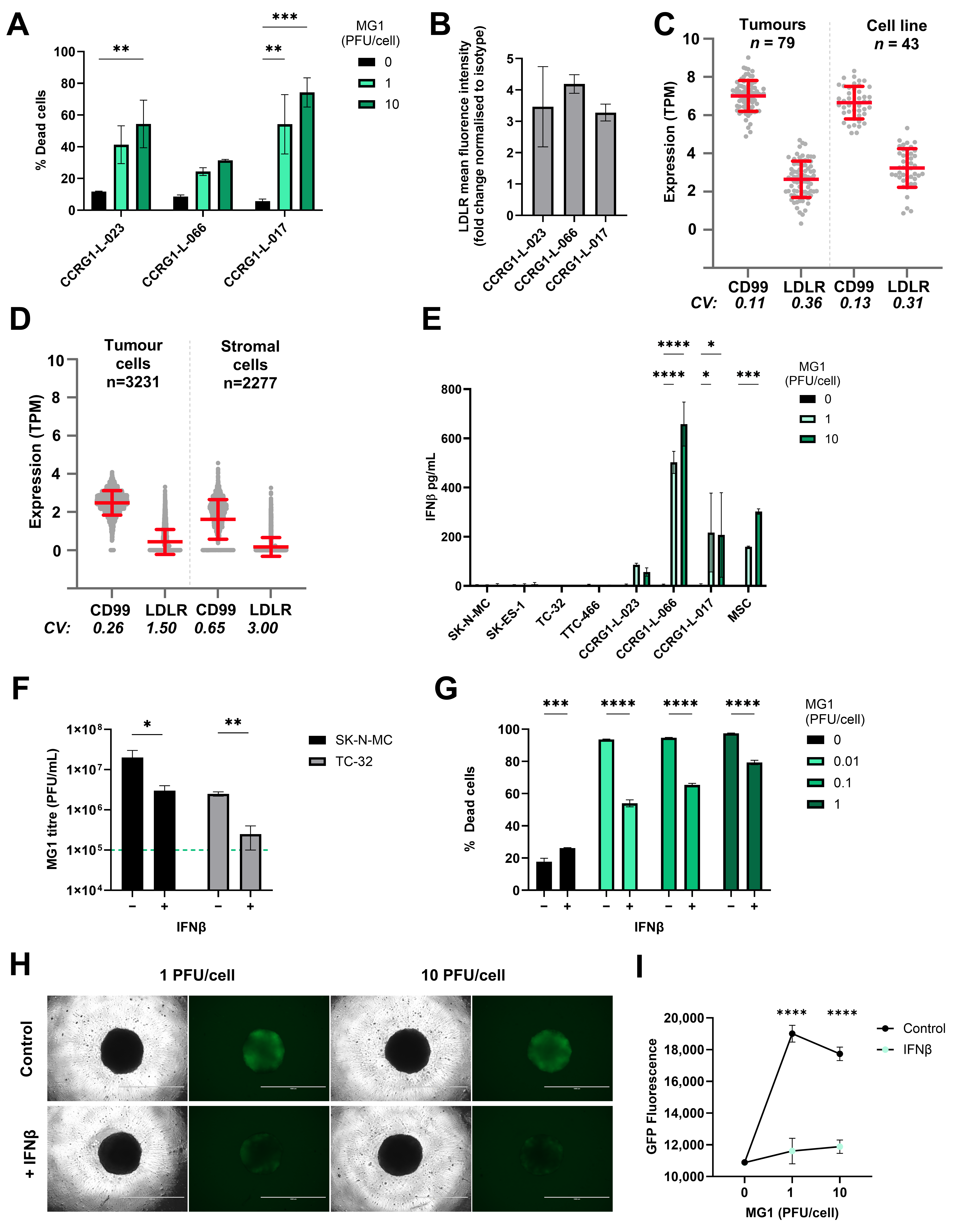 Cancers 17 03319 g003 Cancers 17 03319 g003