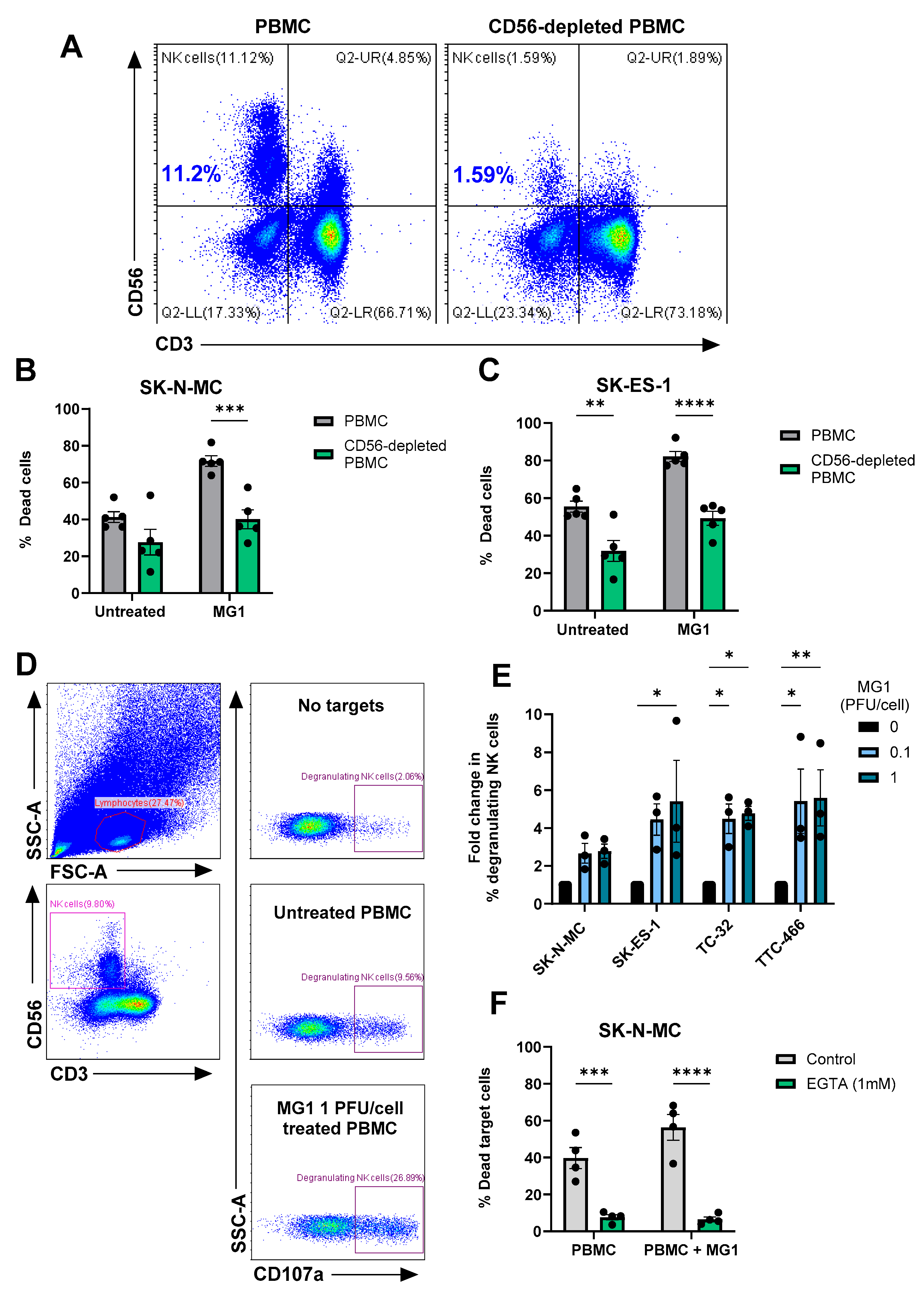 Cancers 17 03319 g005 Cancers 17 03319 g005