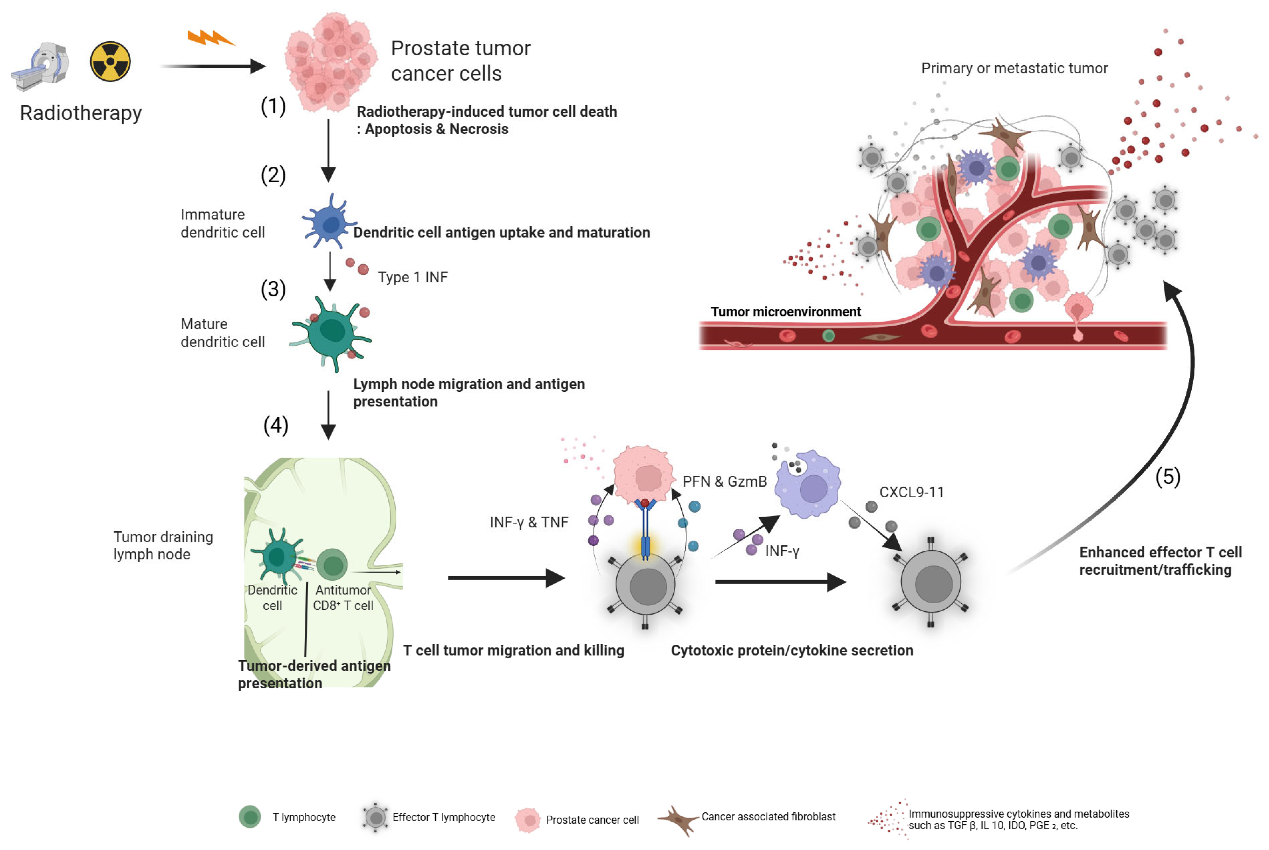 Cancers 17 03330 g002 Cancers 17 03330 g002