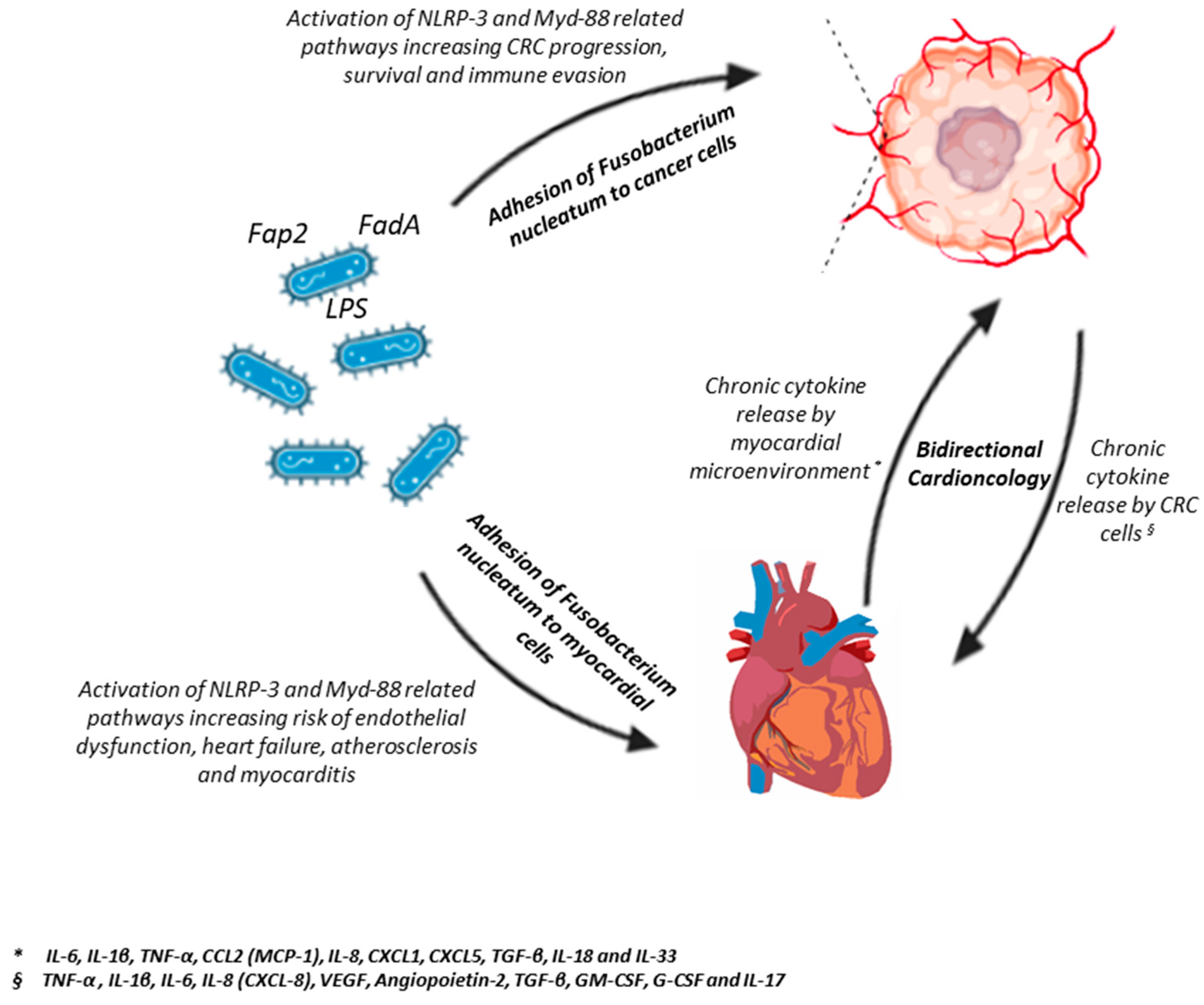Cancers 17 03348 g001 Cancers 17 03348 g001