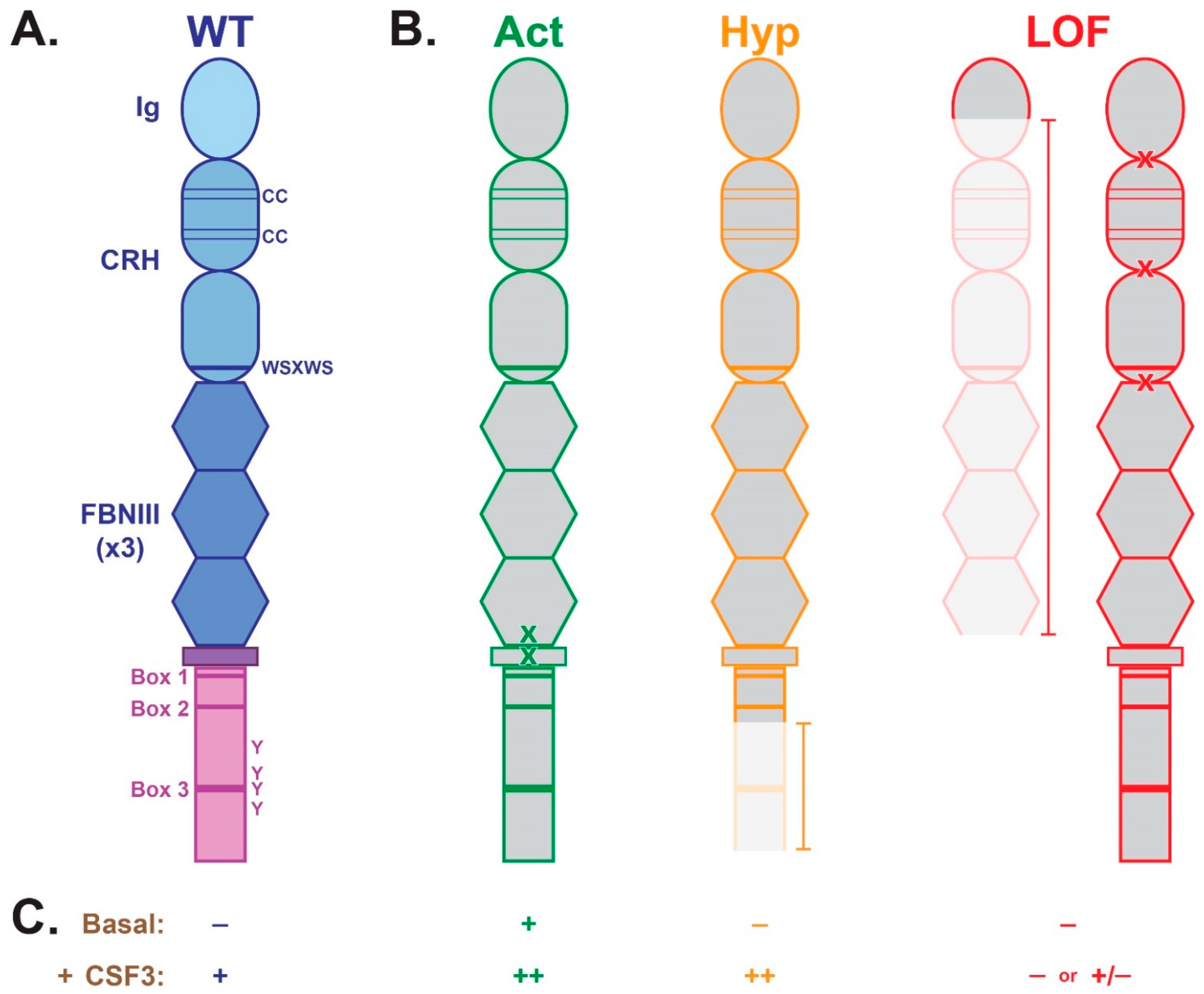 Cancers 17 03378 g001 Cancers 17 03378 g001