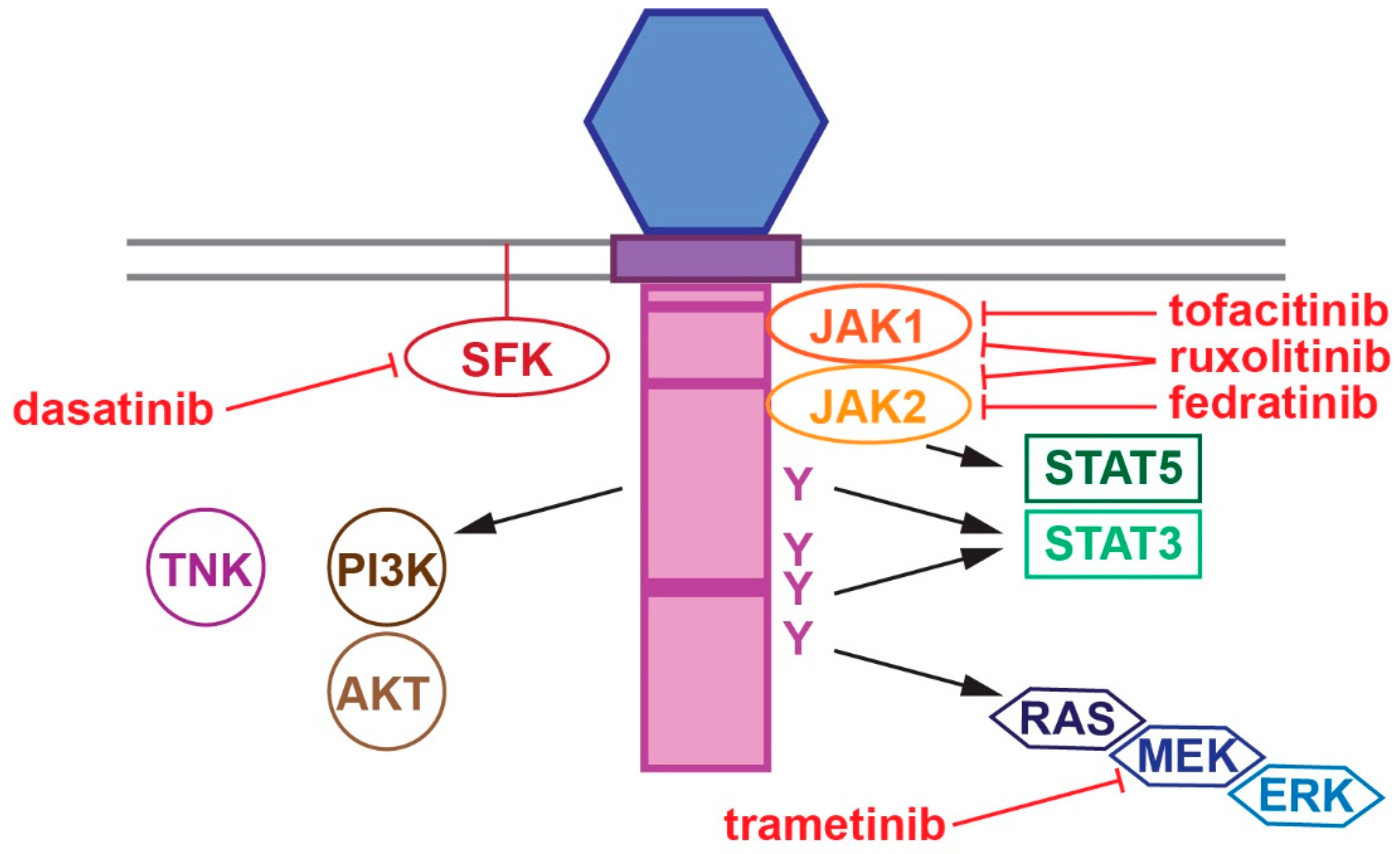 Cancers 17 03378 g002 Cancers 17 03378 g002