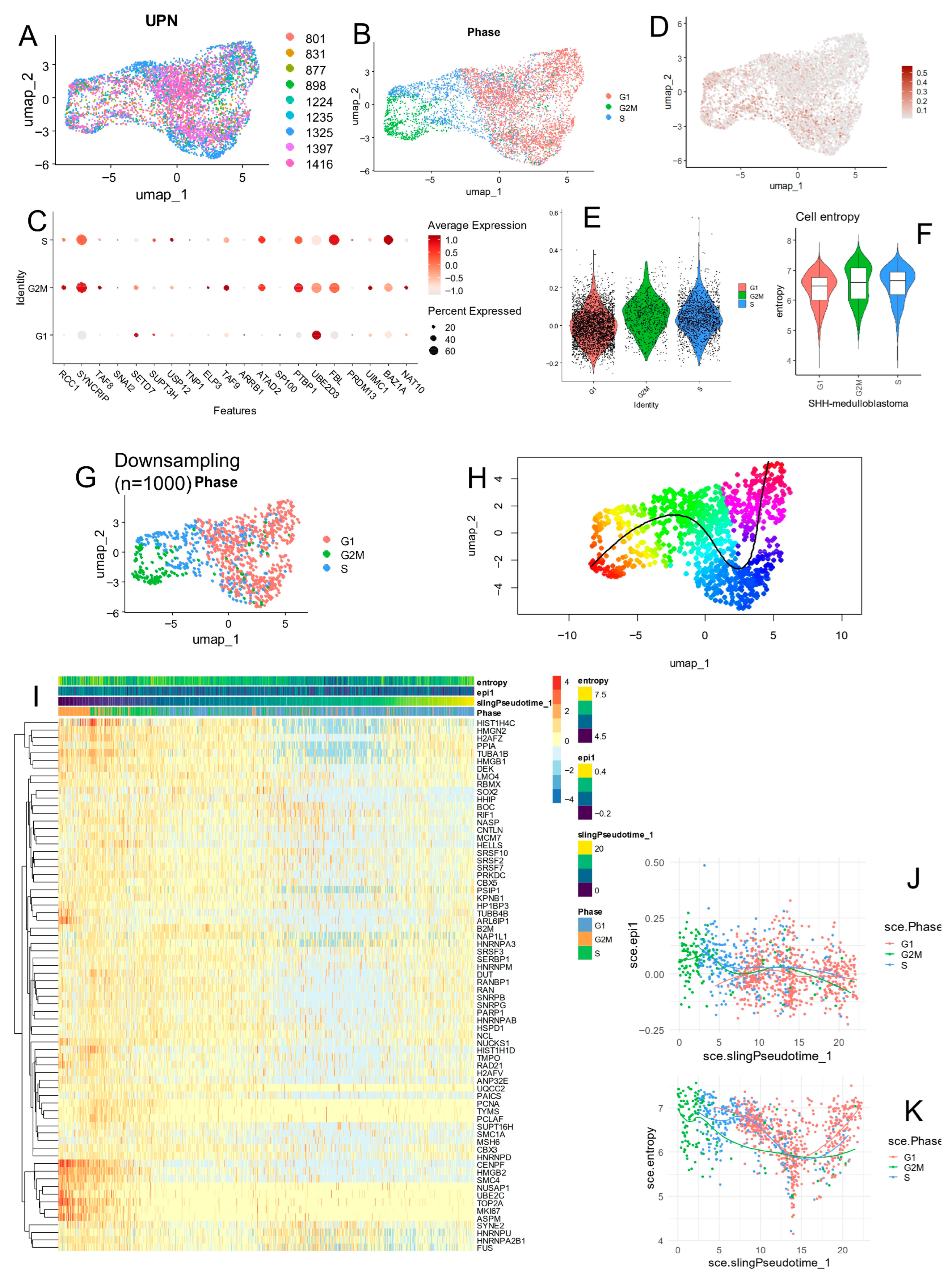 Cancers 17 03424 g007 Cancers 17 03424 g007
