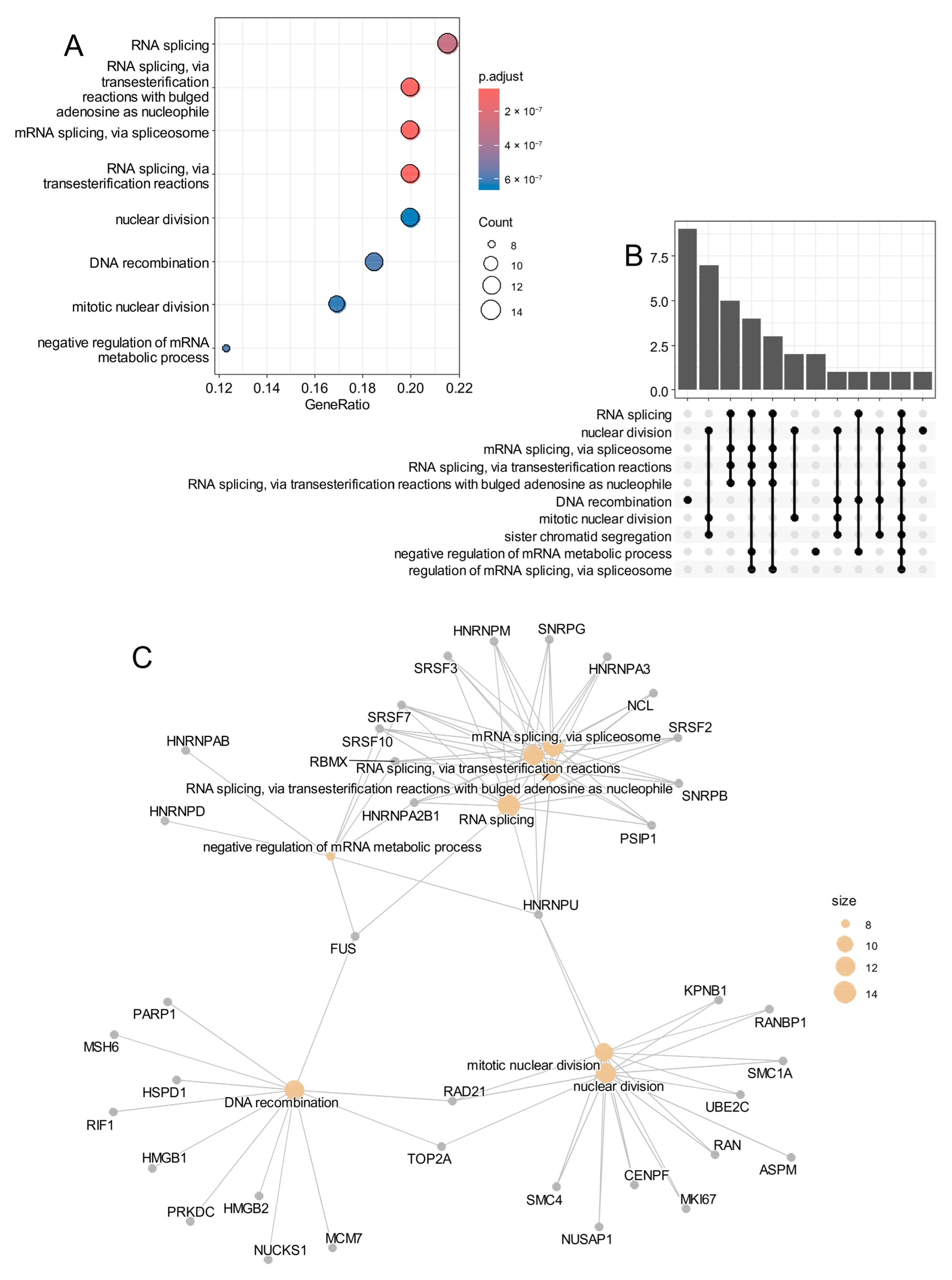 Cancers 17 03424 g008 Cancers 17 03424 g008