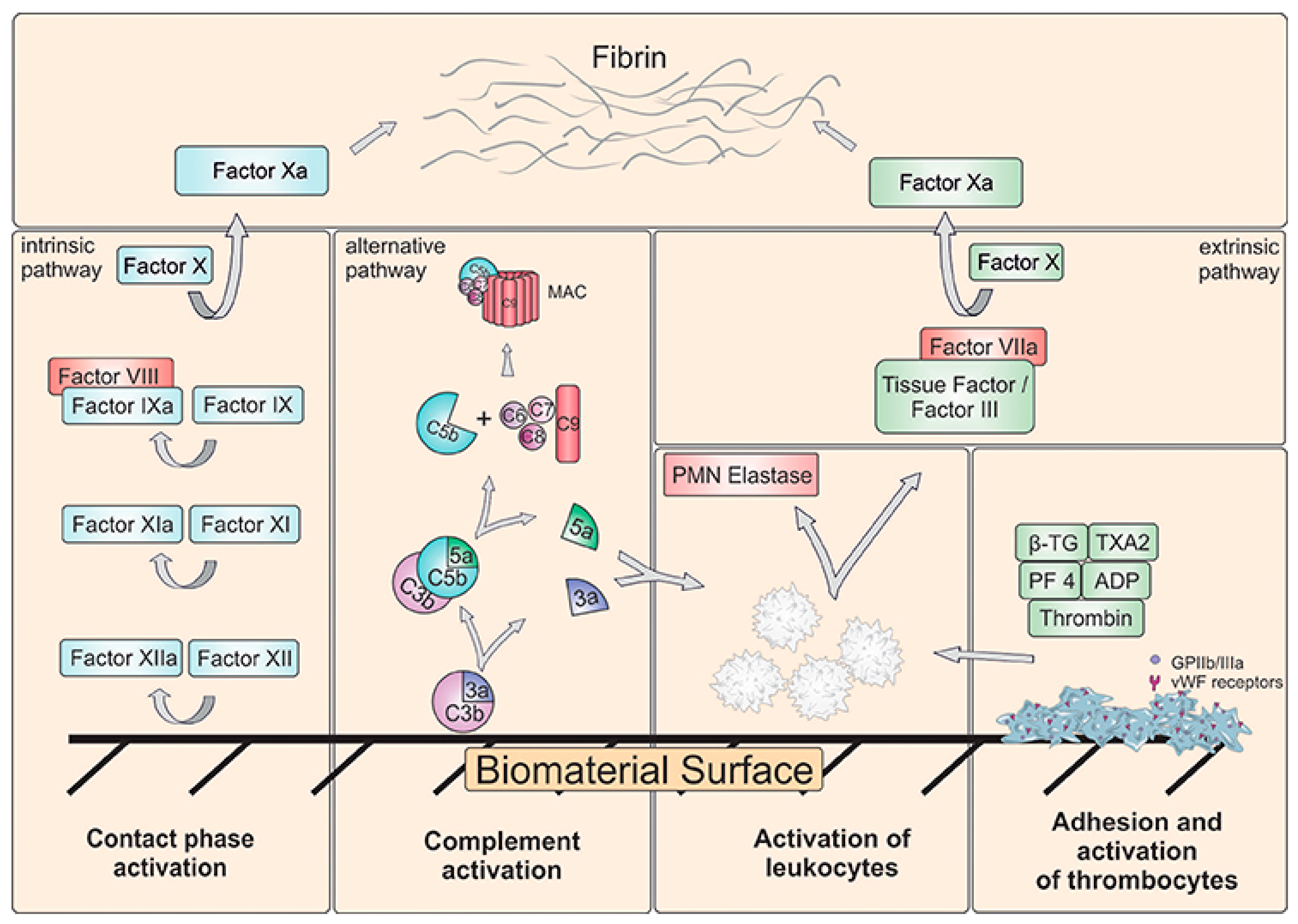Carbon 06 00012 g002 Carbon 06 00012 g002