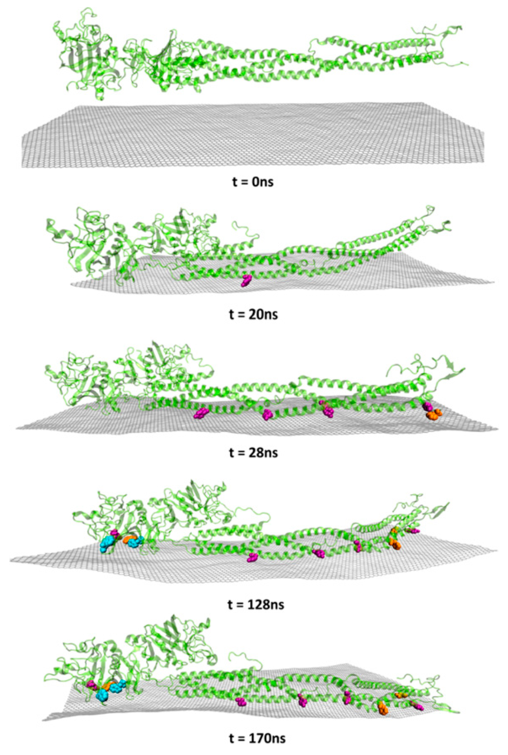 Carbon 06 00012 g011 Carbon 06 00012 g011