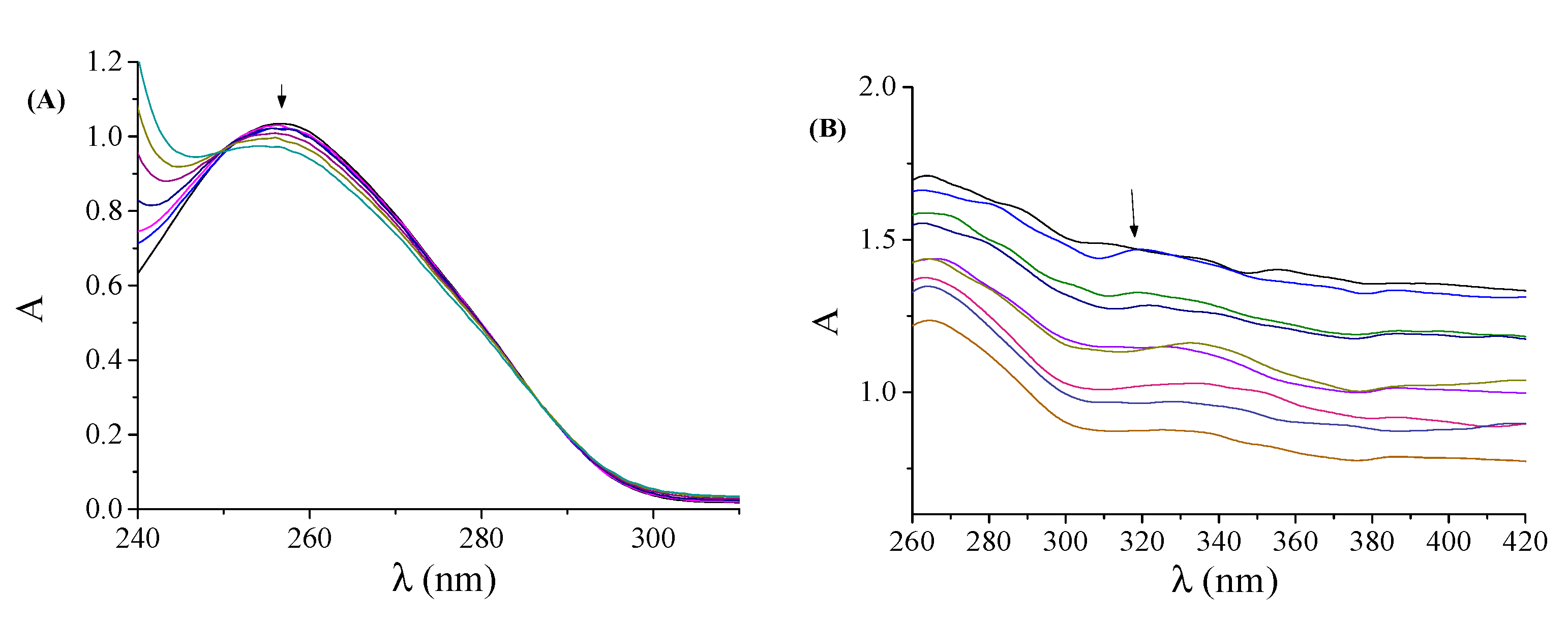 Carbon 06 00062 g005 Carbon 06 00062 g005