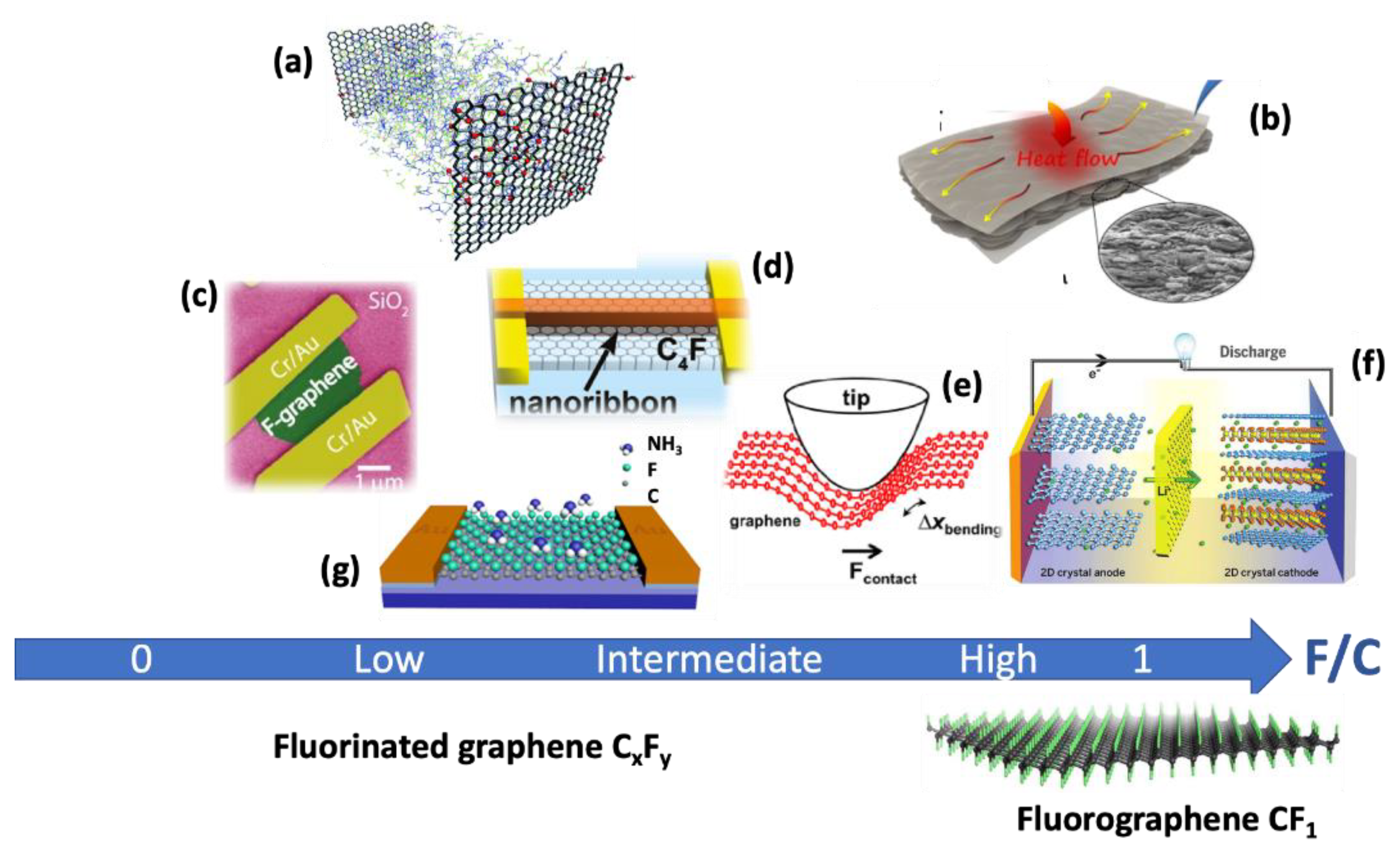 Carbon 07 00020 g006