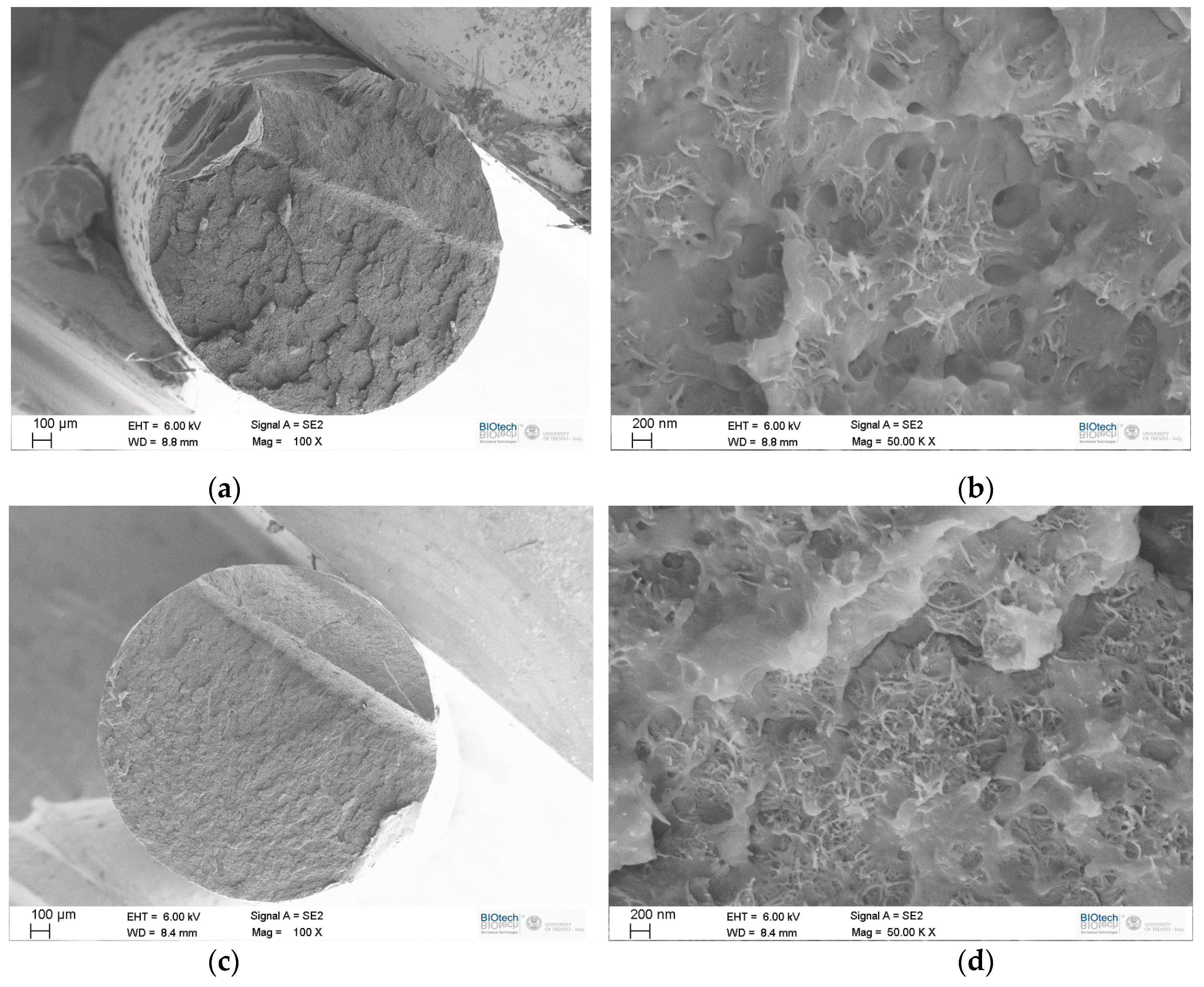 Carbon 07 00033 g003 Carbon 07 00033 g003