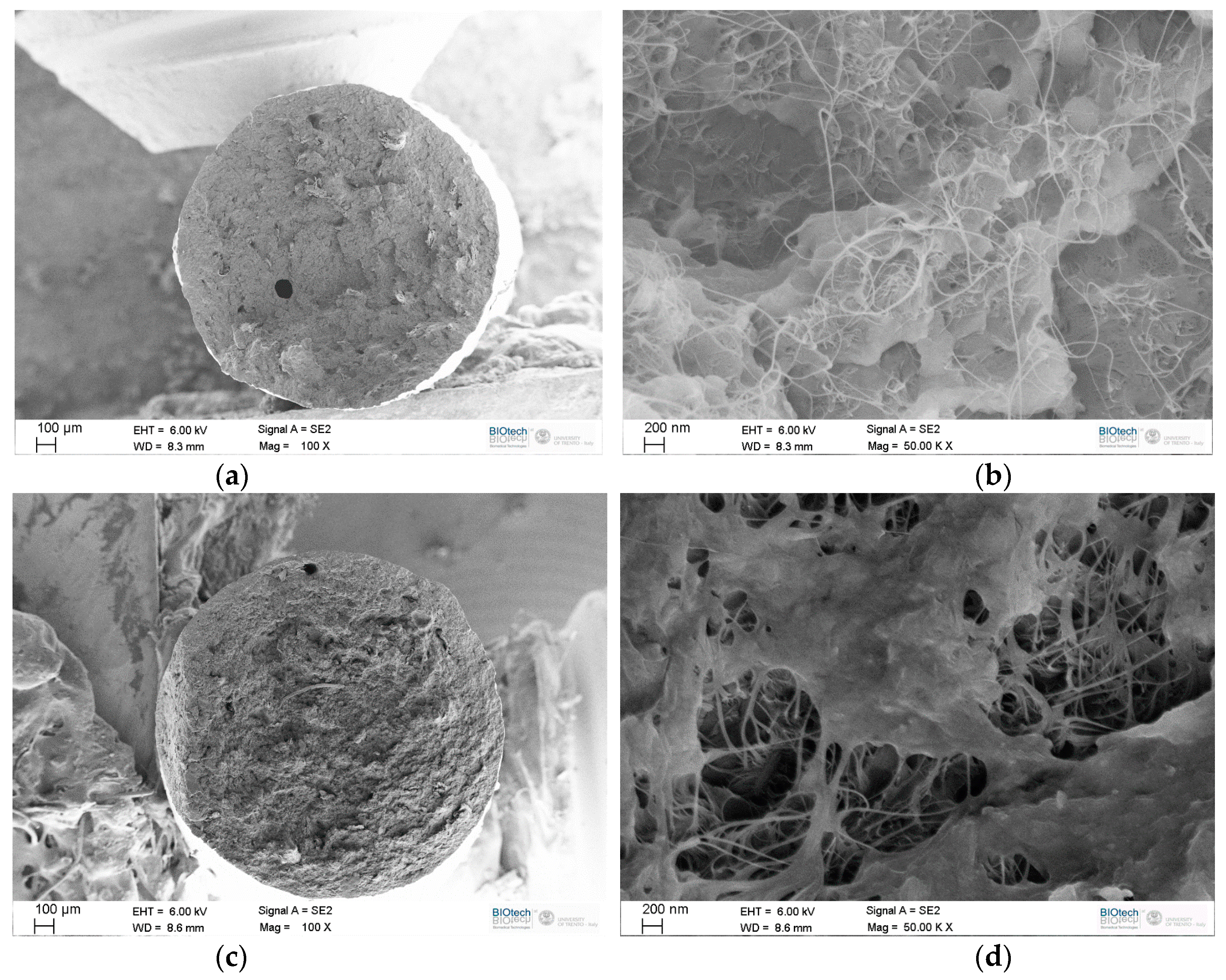 Carbon 07 00033 g004 Carbon 07 00033 g004