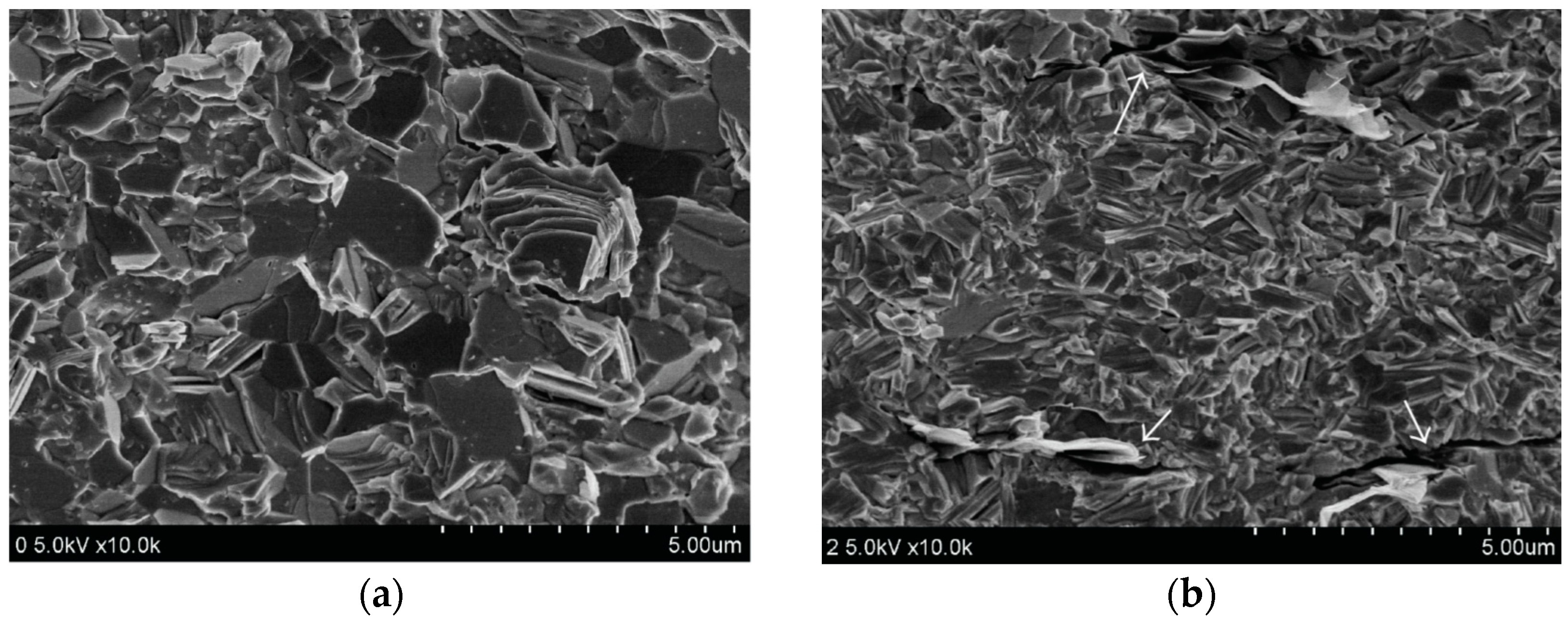 C | Free Full-Text | Impact of Graphene or Reduced Graphene Oxide on  Performance of Thermoelectric Composites