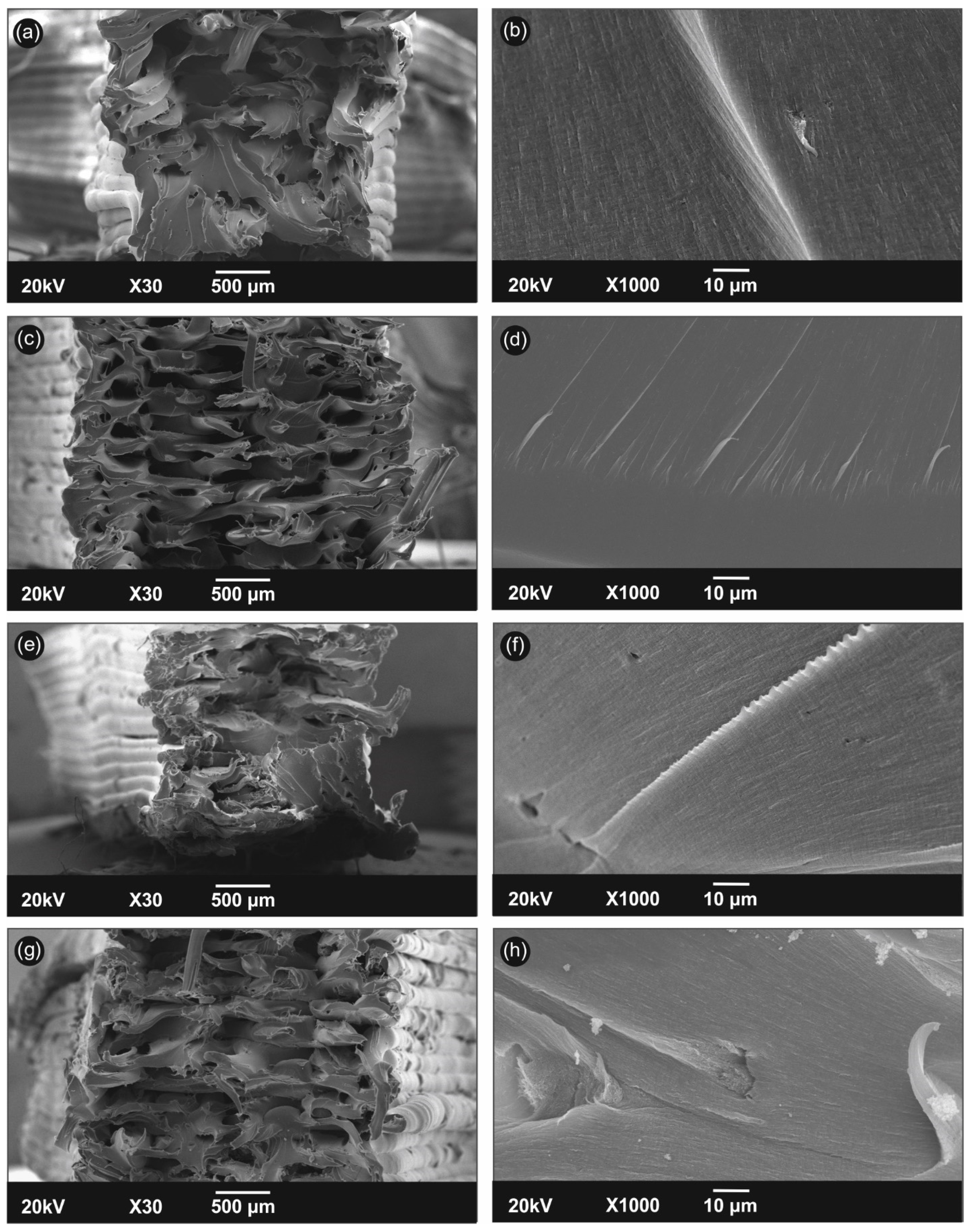 C Free Full Text Polyamide 12 Multiwalled Carbon Nanotube And Carbon Black Nanocomposites Manufactured By 3d Printing Fused Filament Fabrication A Comparison Of The Electrical Thermoelectric And Mechanical Properties Html