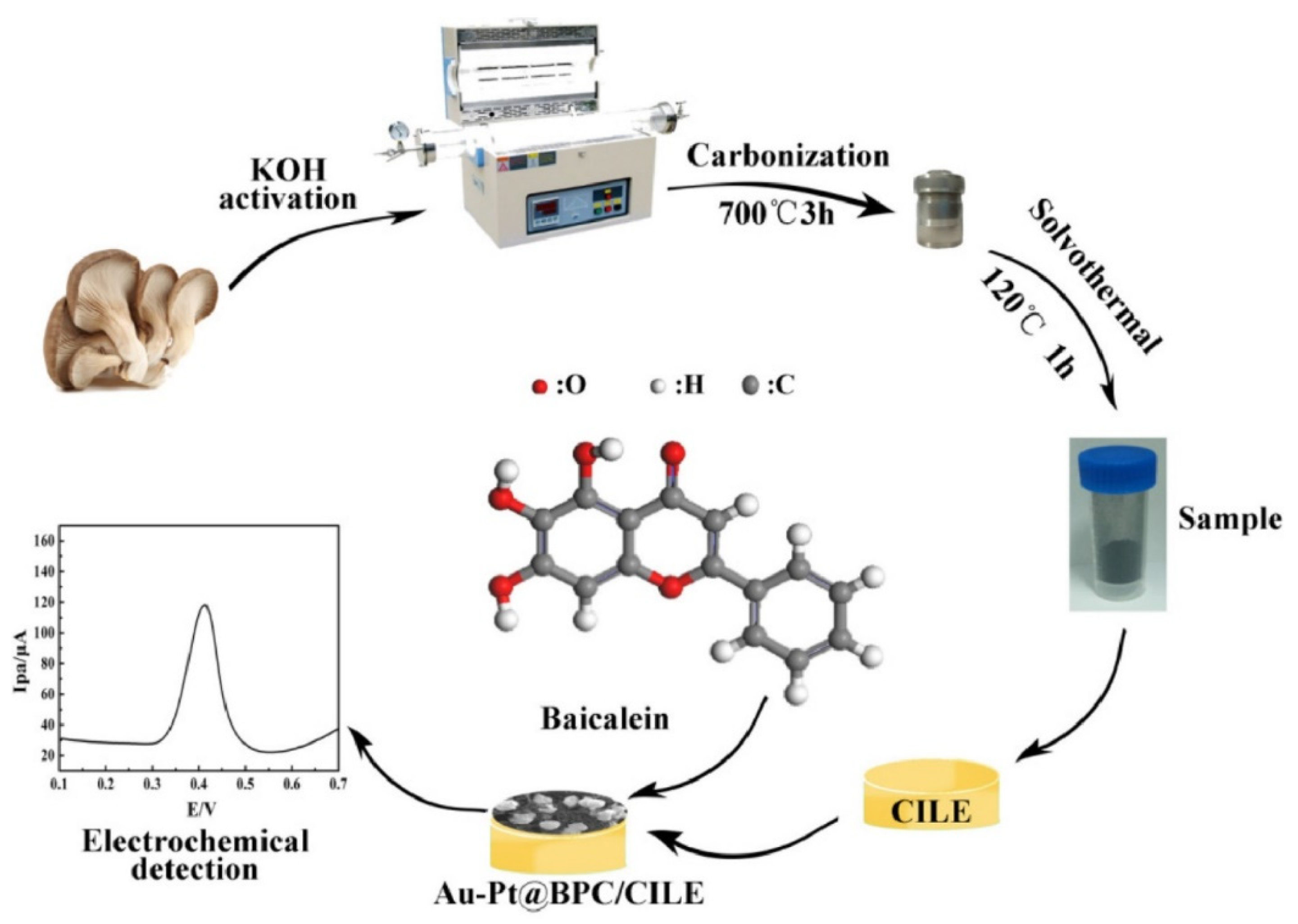 Activated Carbon - BIOFerm Energy