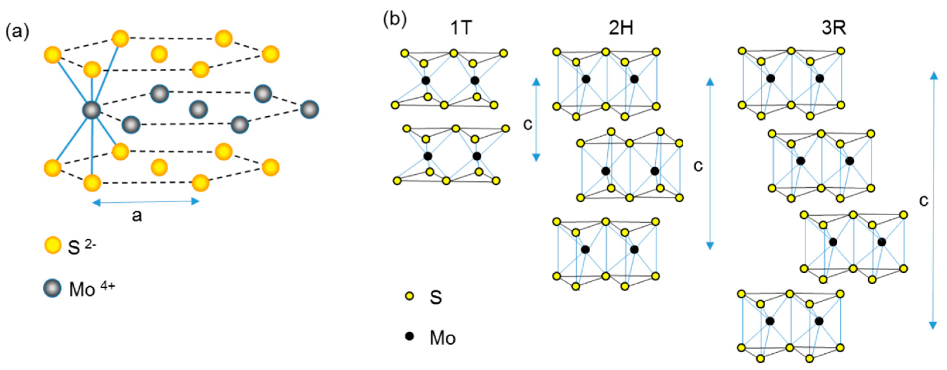 Carbon 07 00045 g002