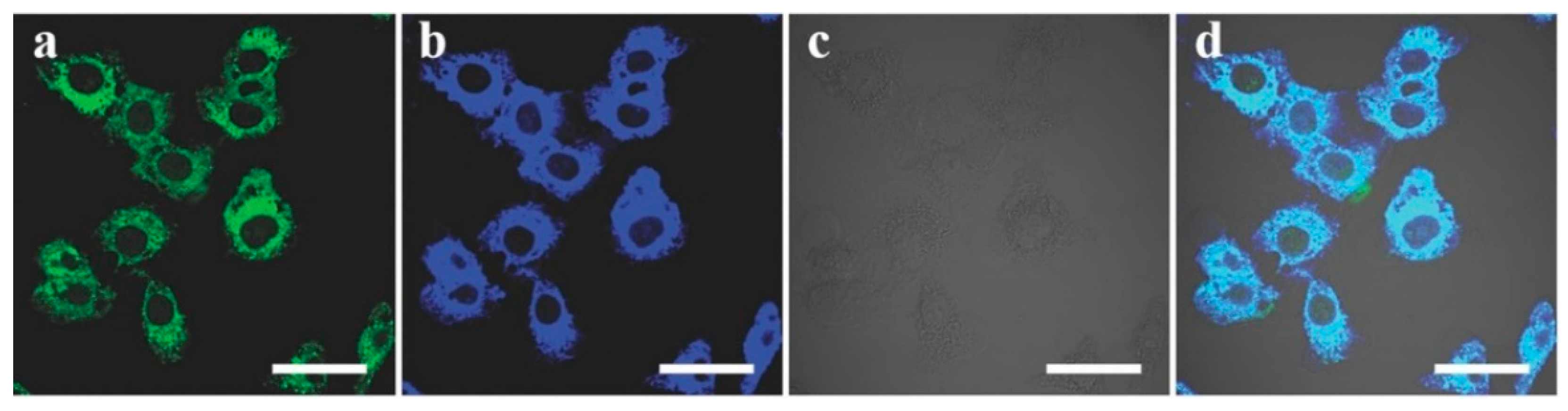 Carbon 07 00045 g028