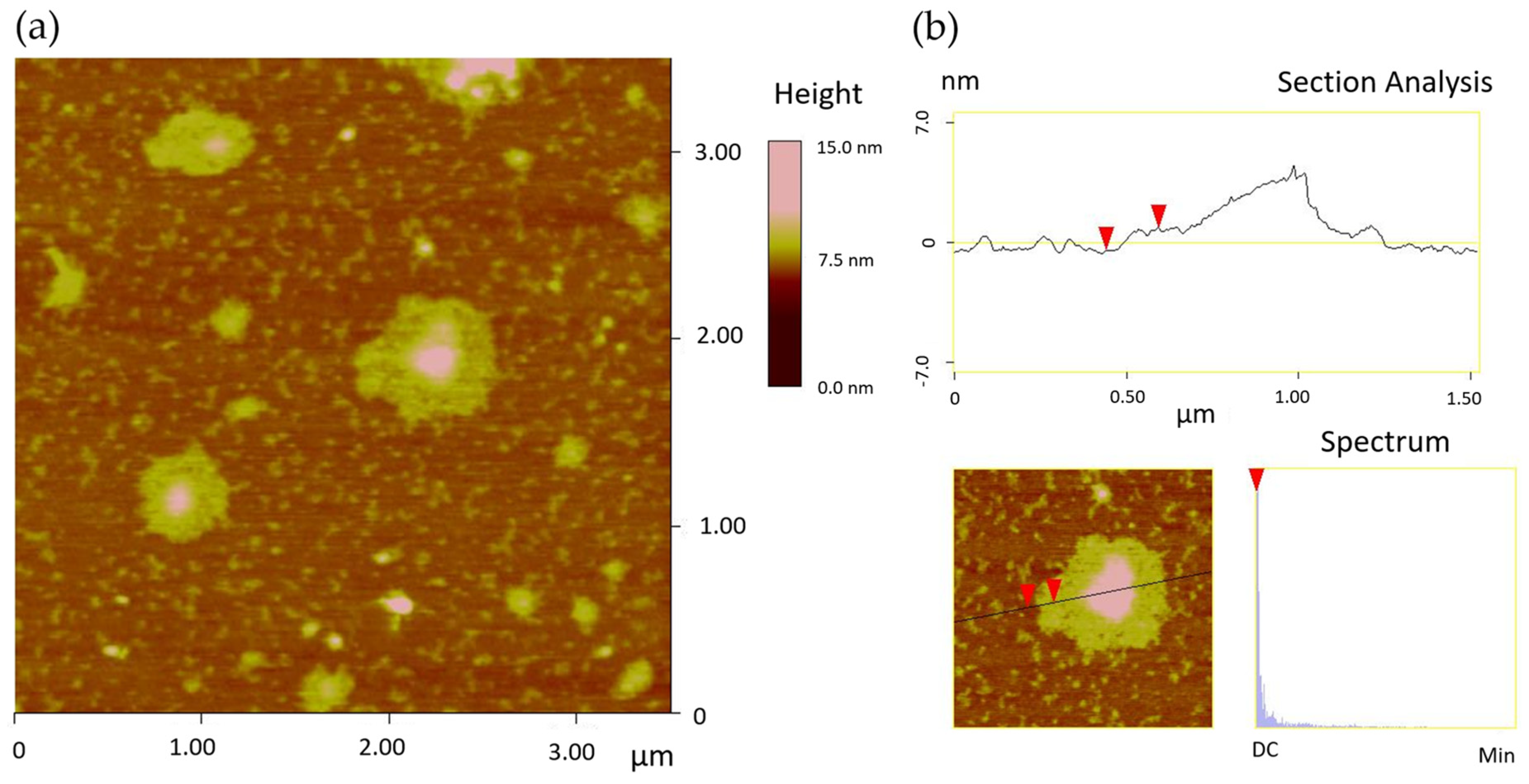 Carbon 08 00068 g007