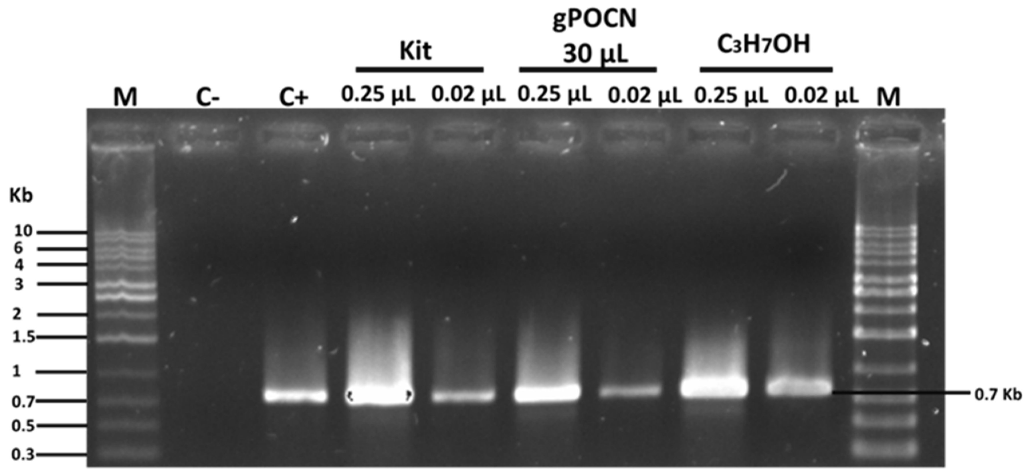 Carbon 08 00068 g010